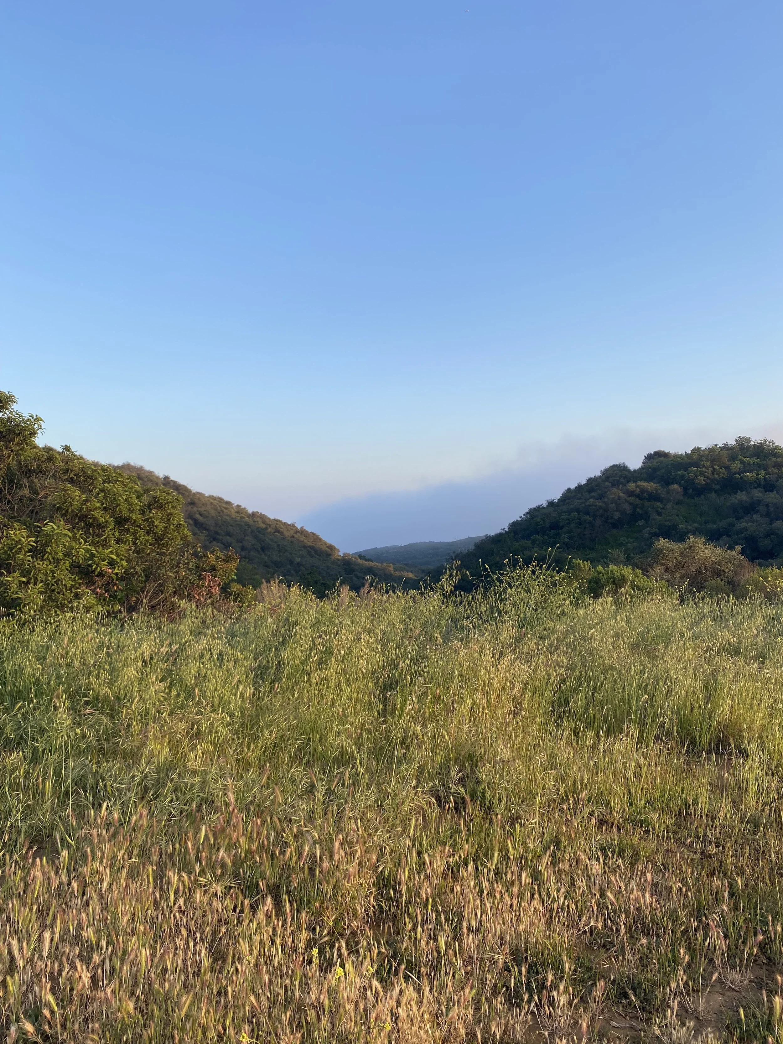 Metta (Lovingkindness) Meditation + Chanting