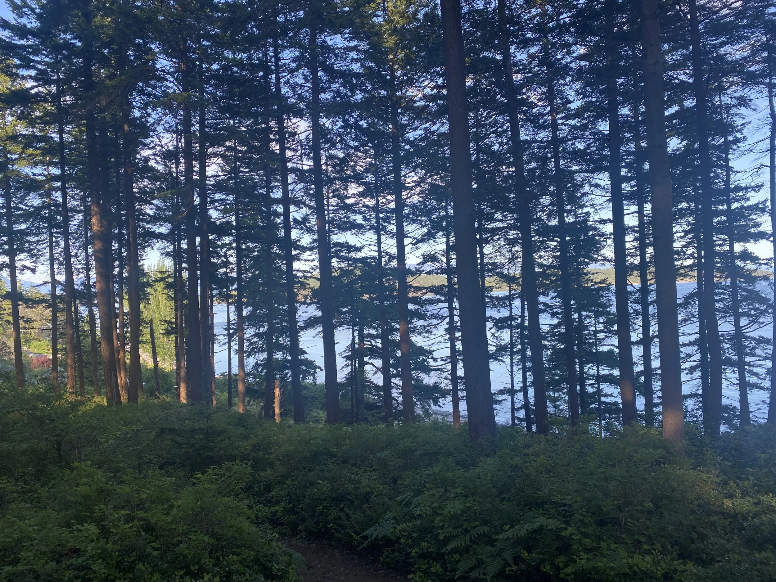 Awake in Our Lives: Silent Meditation Retreat at Hollyhock with Celeste