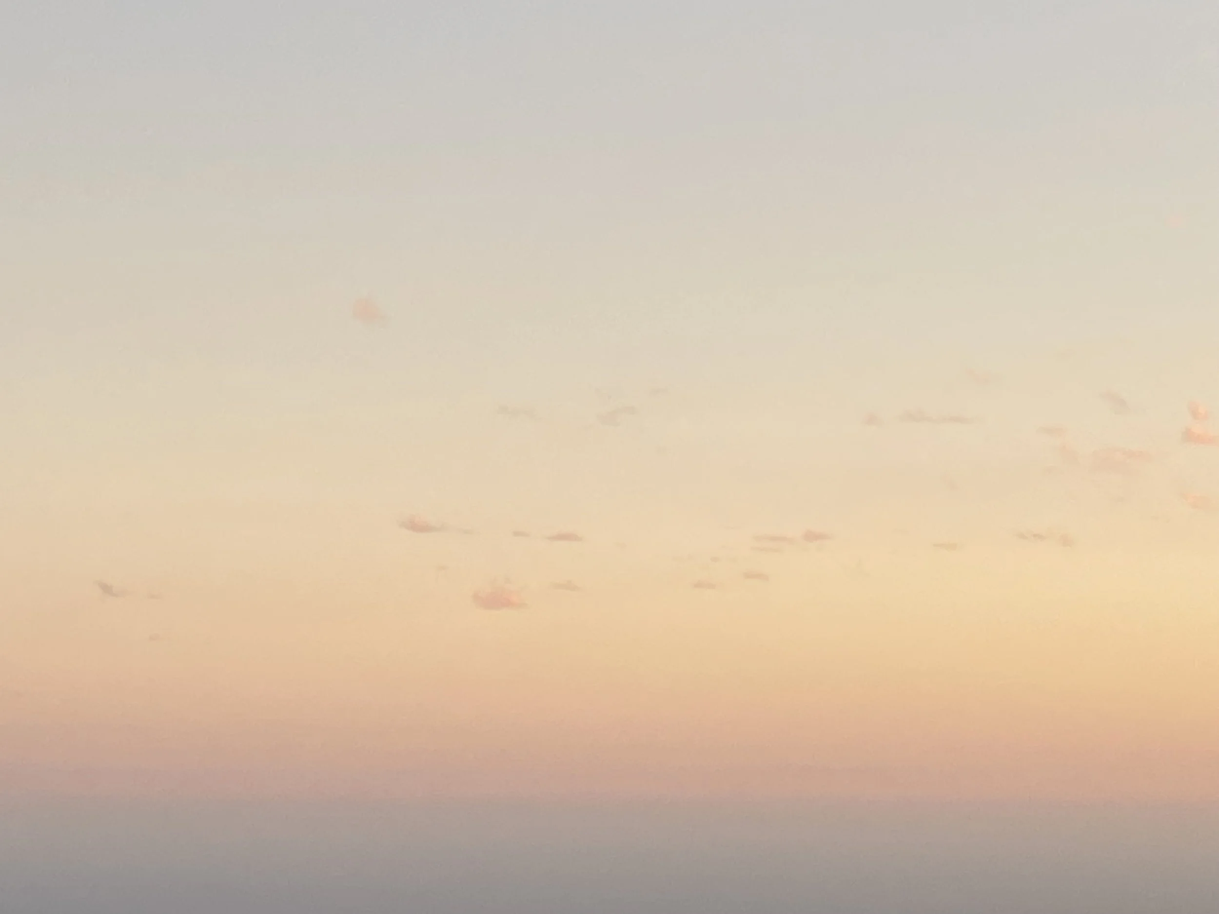 Fall Insight Drop in Meditation & Dharma