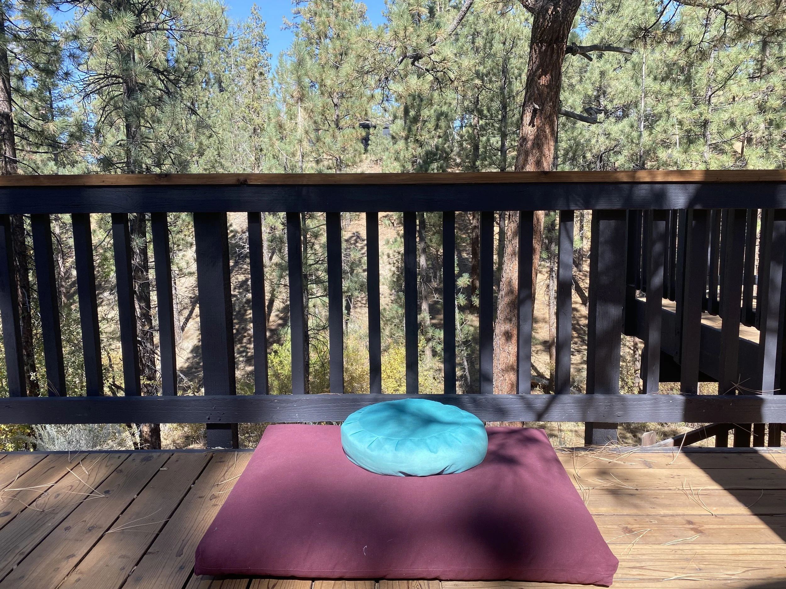 The Heart of Awakening: Exploring the Seven Factors with Celeste &amp; Devon Hase