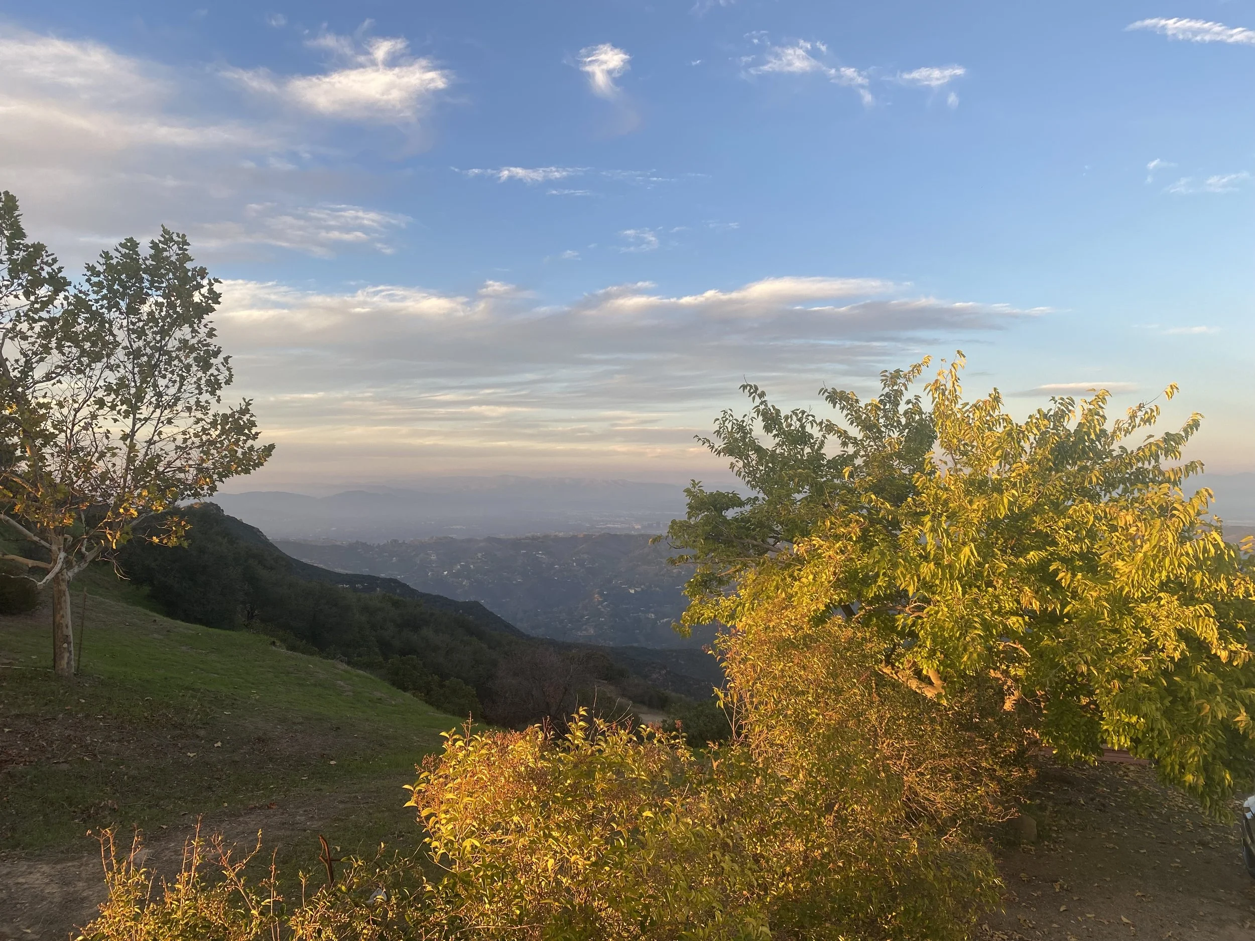 Winter Insight Drop in Meditation &amp; Dharma 