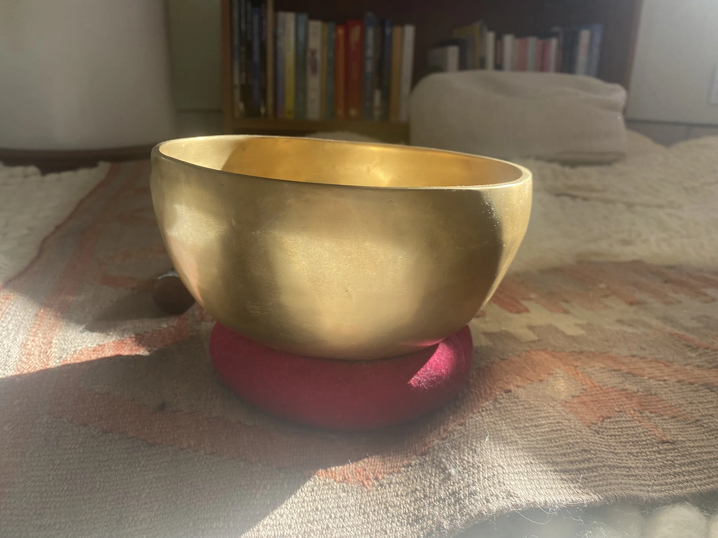 Meeting the New Year with Wisdom &amp; Compassion: Insight Meditation + Dharma 