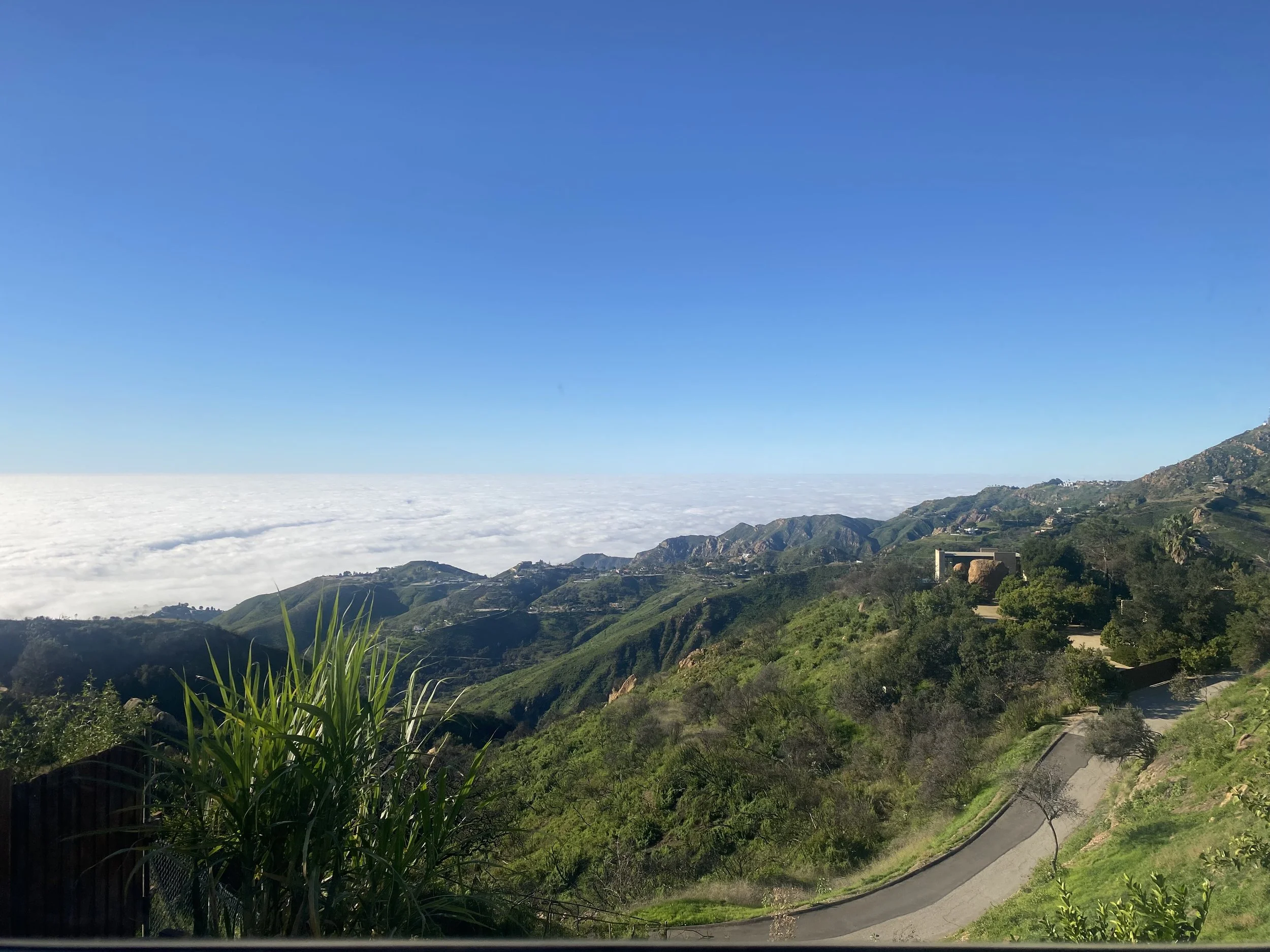 Sila As Refuge: January Insight Drop in Meditation &amp; Dharma   