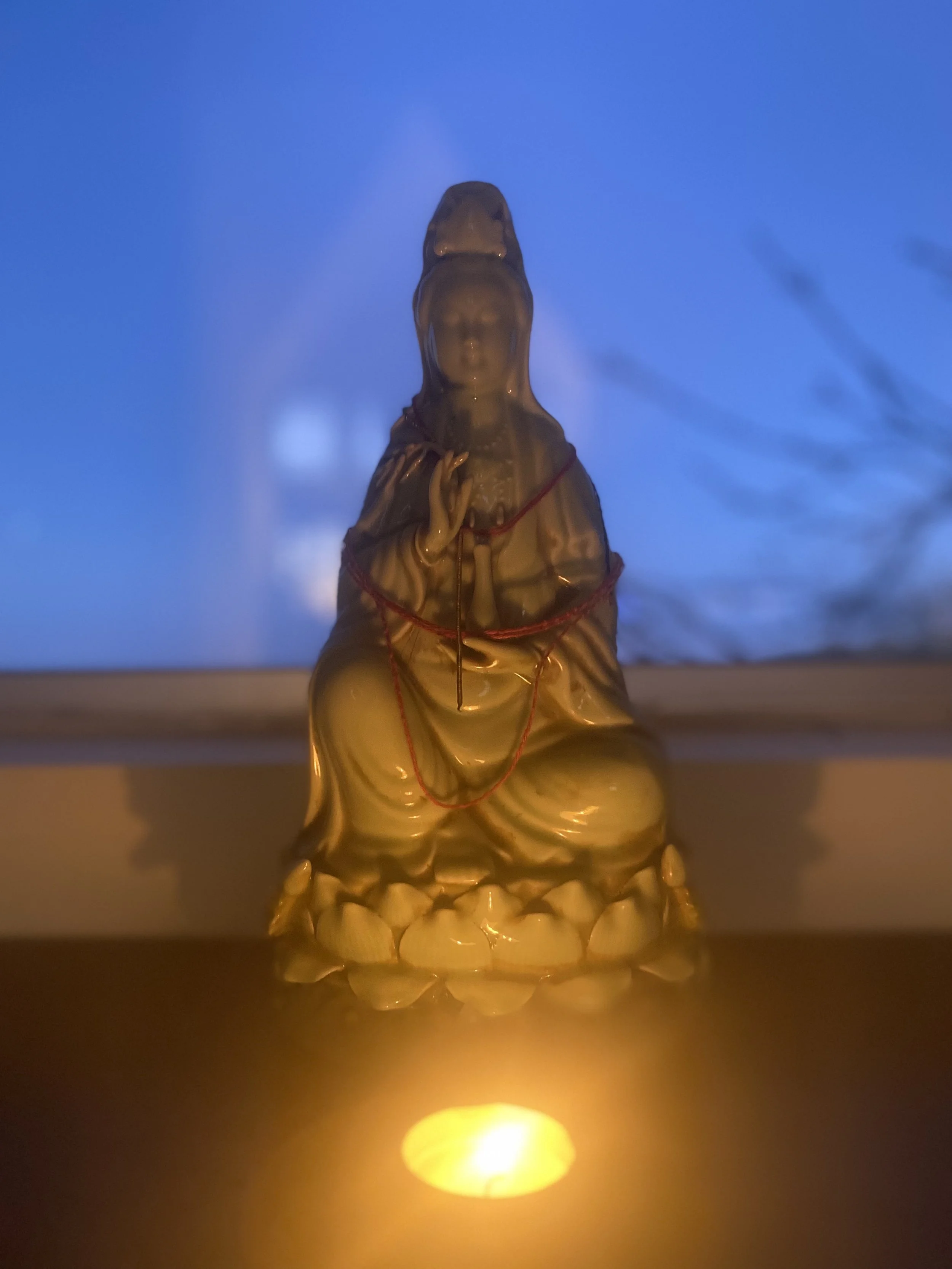 January Insight Drop in Meditation &amp; Dharma: Compassion