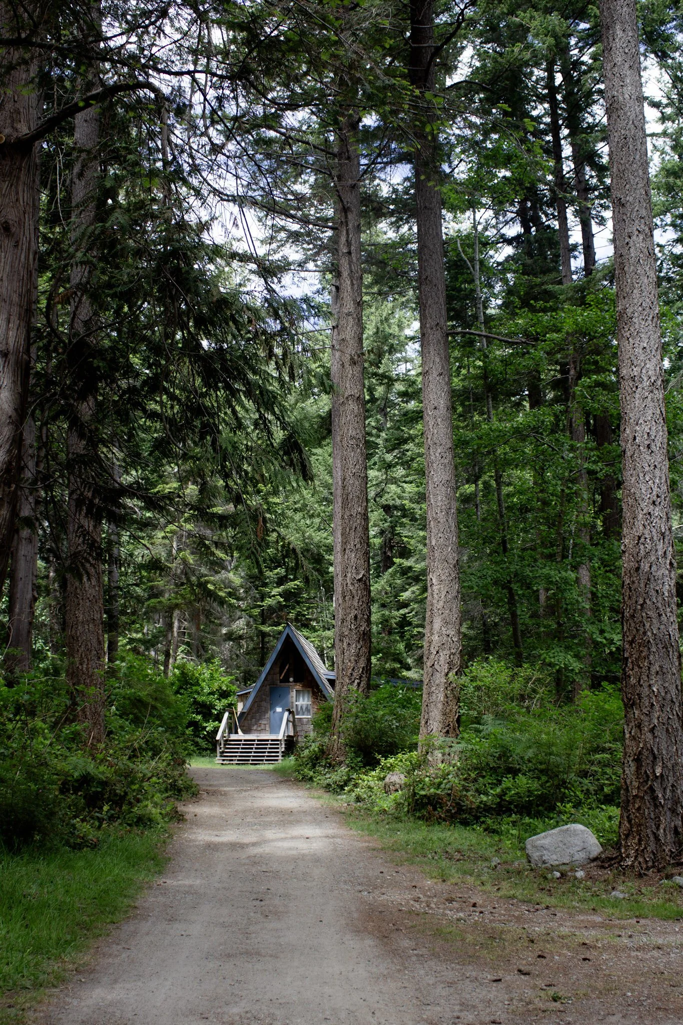 Opening to Inner &amp; Outer Change: A Life Balance Retreat at Hollyhock with Celeste 