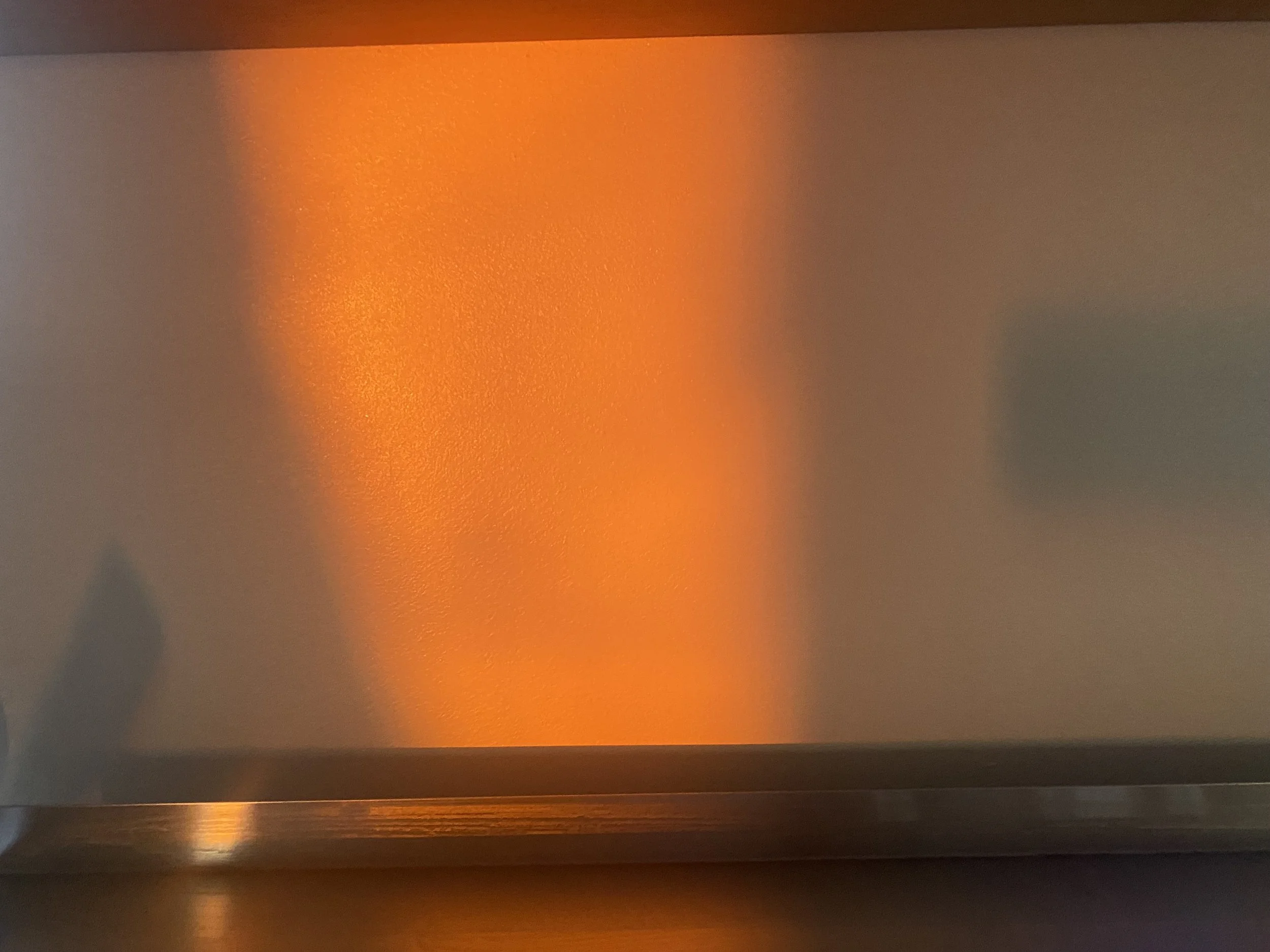 Drop in Meditation &amp; Dharma: Wisdom