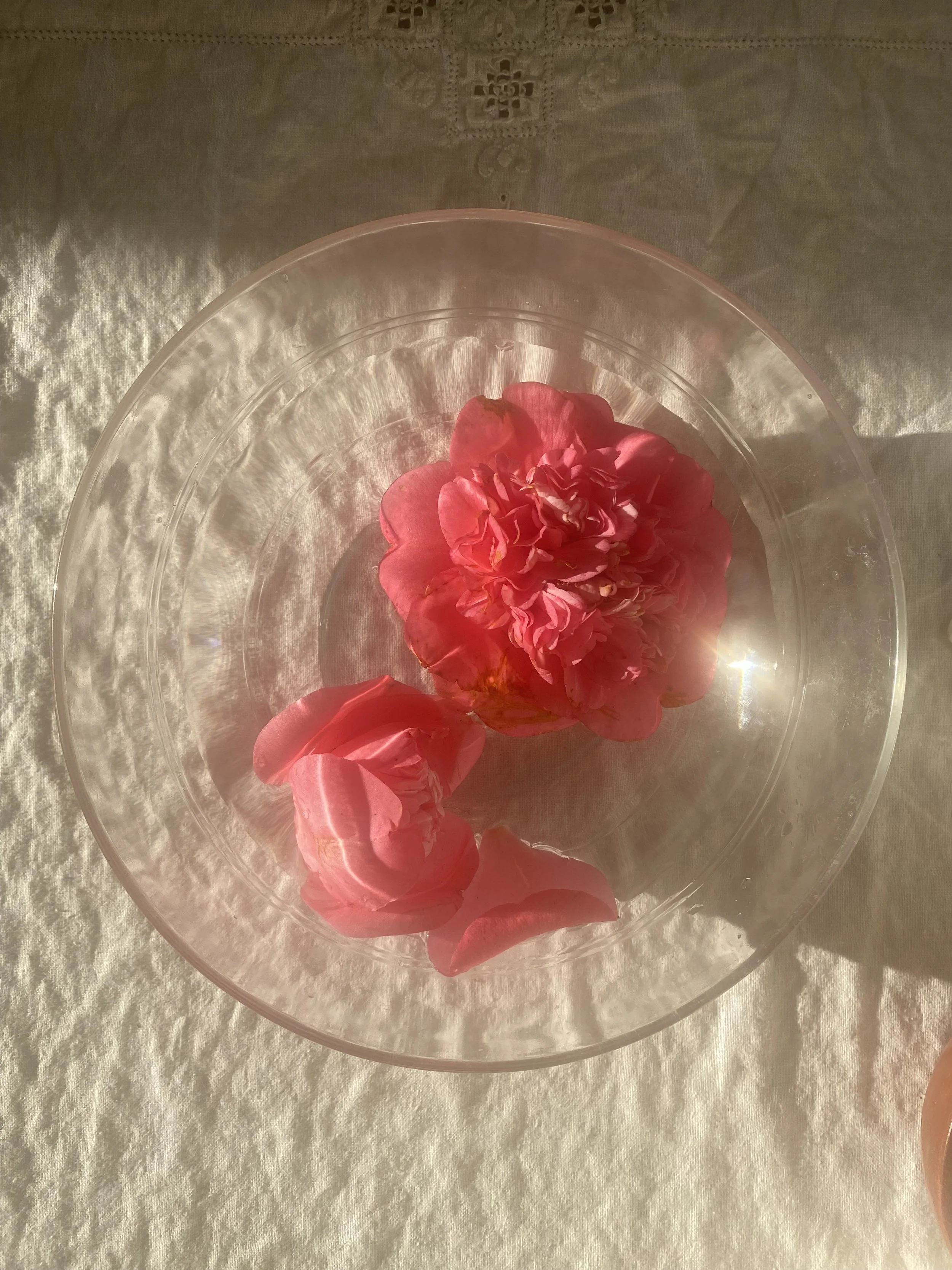 Drop in Meditation &amp; Dharma: Lovingkindness