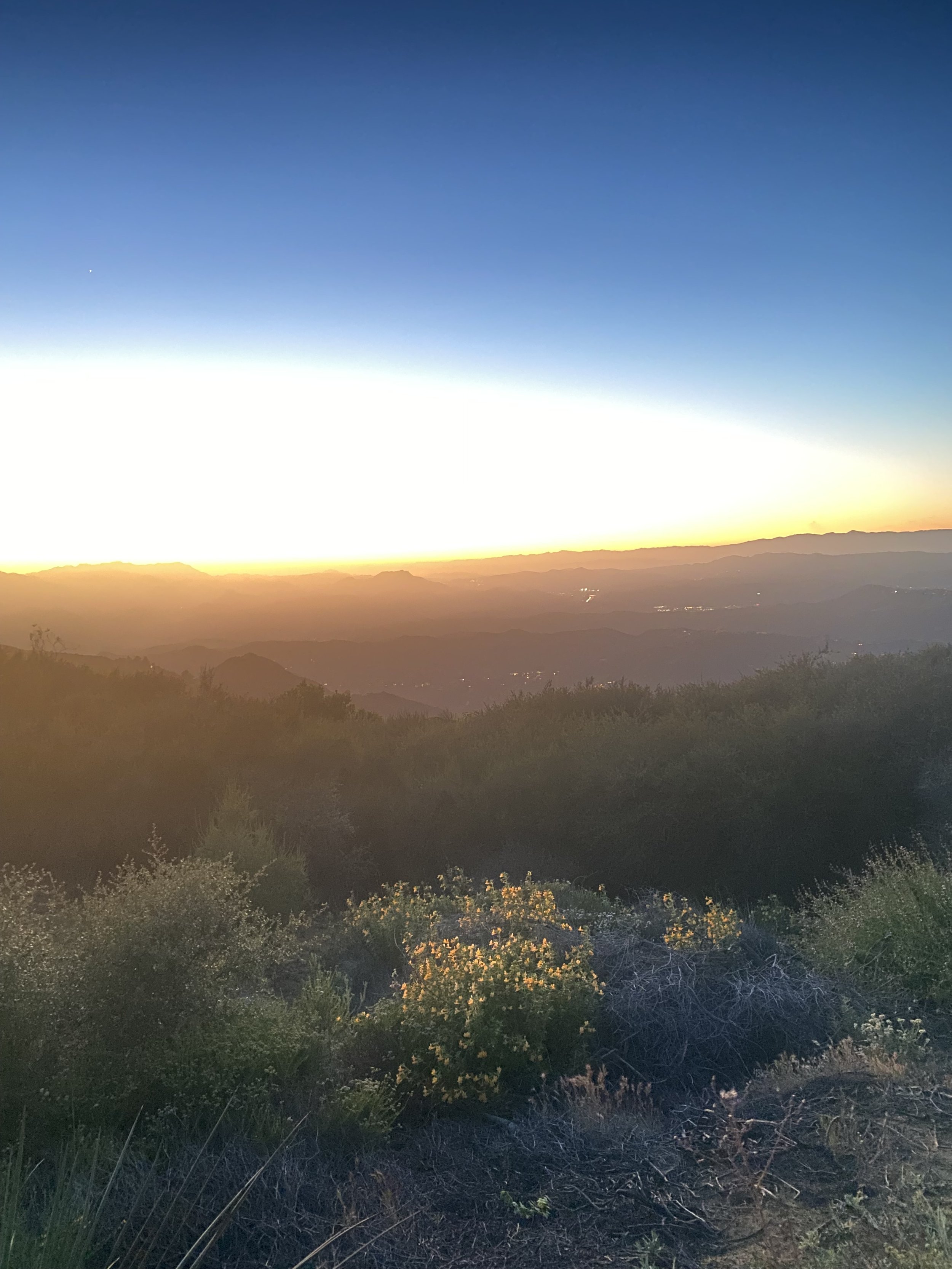 Drop in Meditation & Dharma: Opening to What Is- The 4 Noble Truths