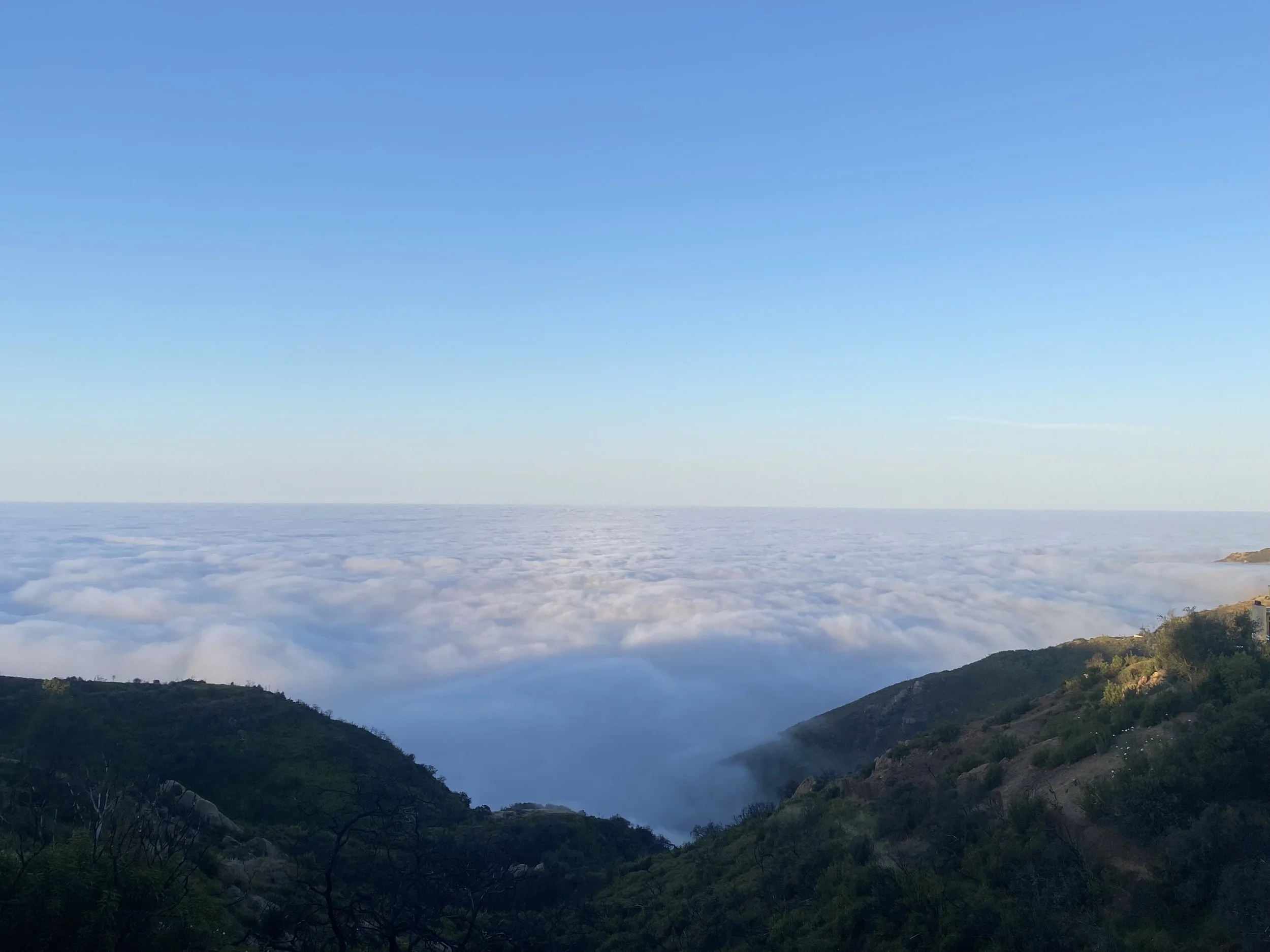 Drop in Meditation & Dharma: Opening to What Is- The 4 Noble Truths