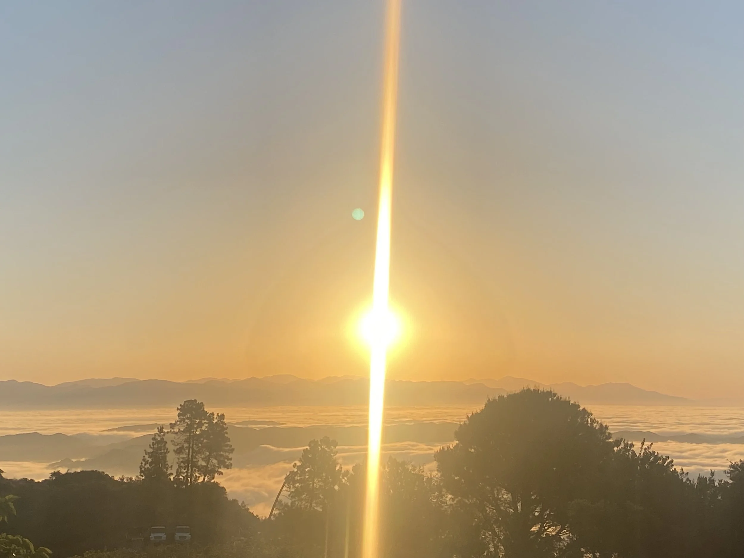 Drop in Meditation & Dharma: Opening to What Is- The 4 Noble Truths