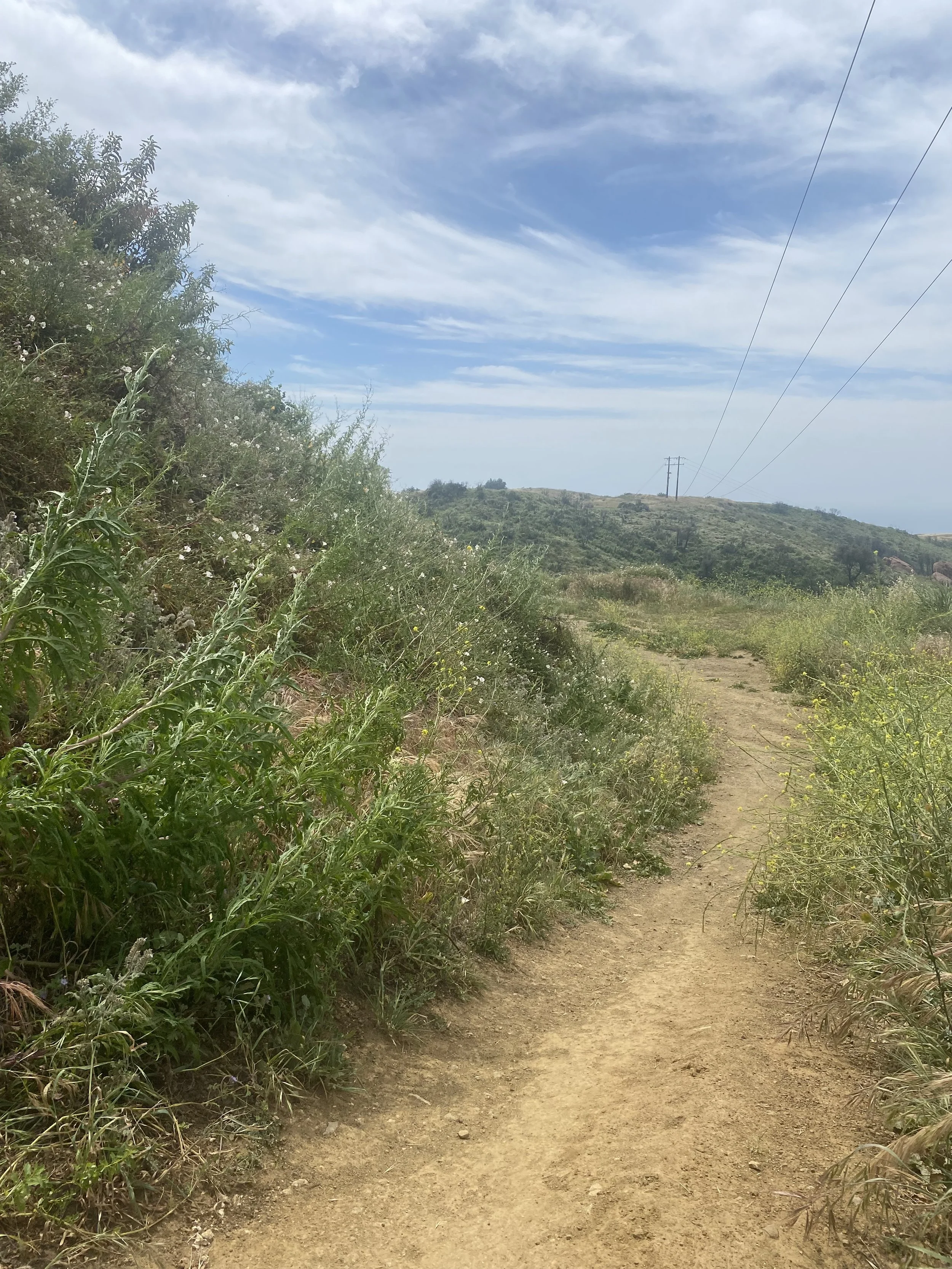Drop in Meditation &amp; Dharma: Wise View: Walking the Path