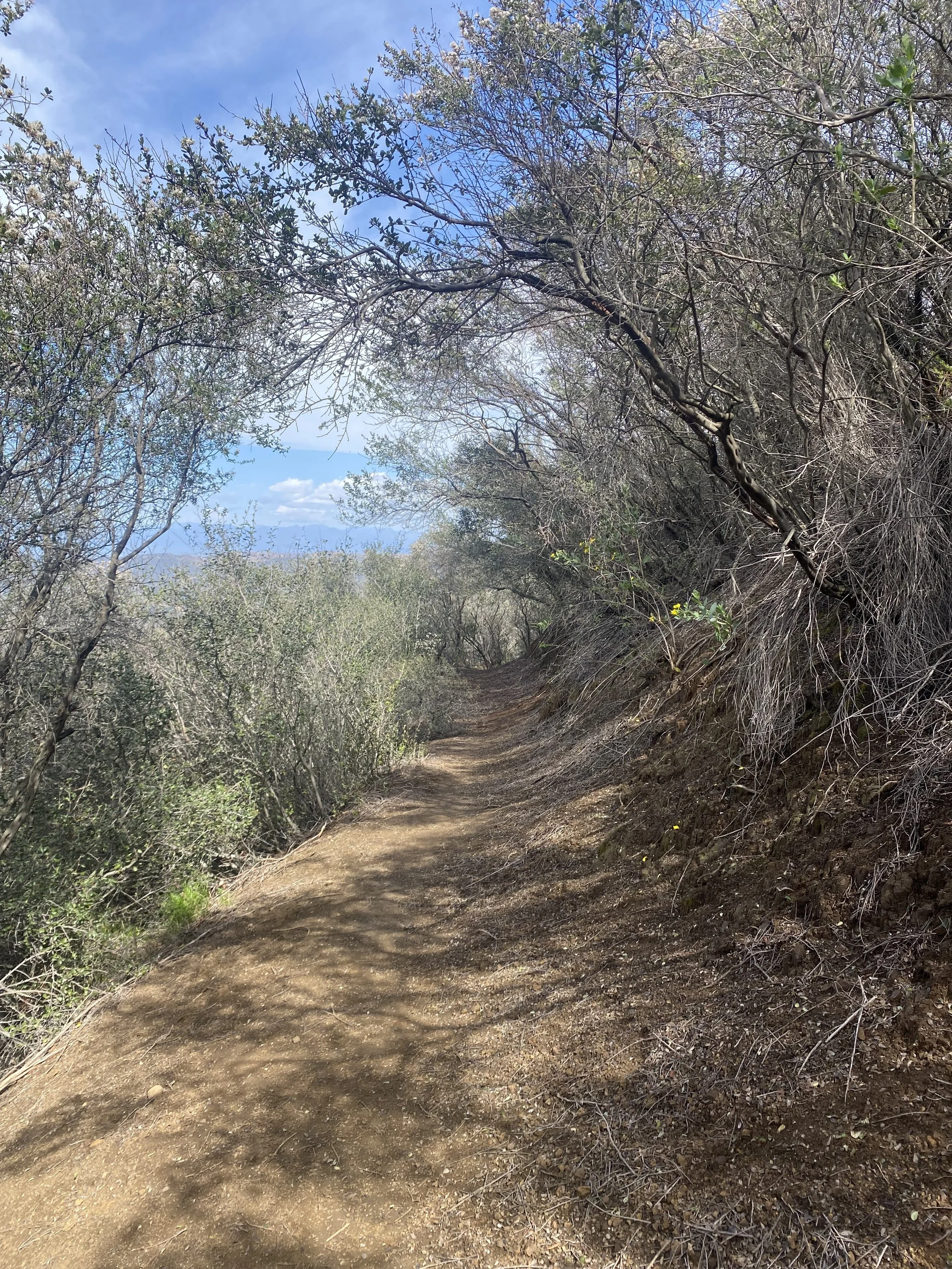 Drop in Meditation &amp; Dharma: Wise Effort: Walking the Path  