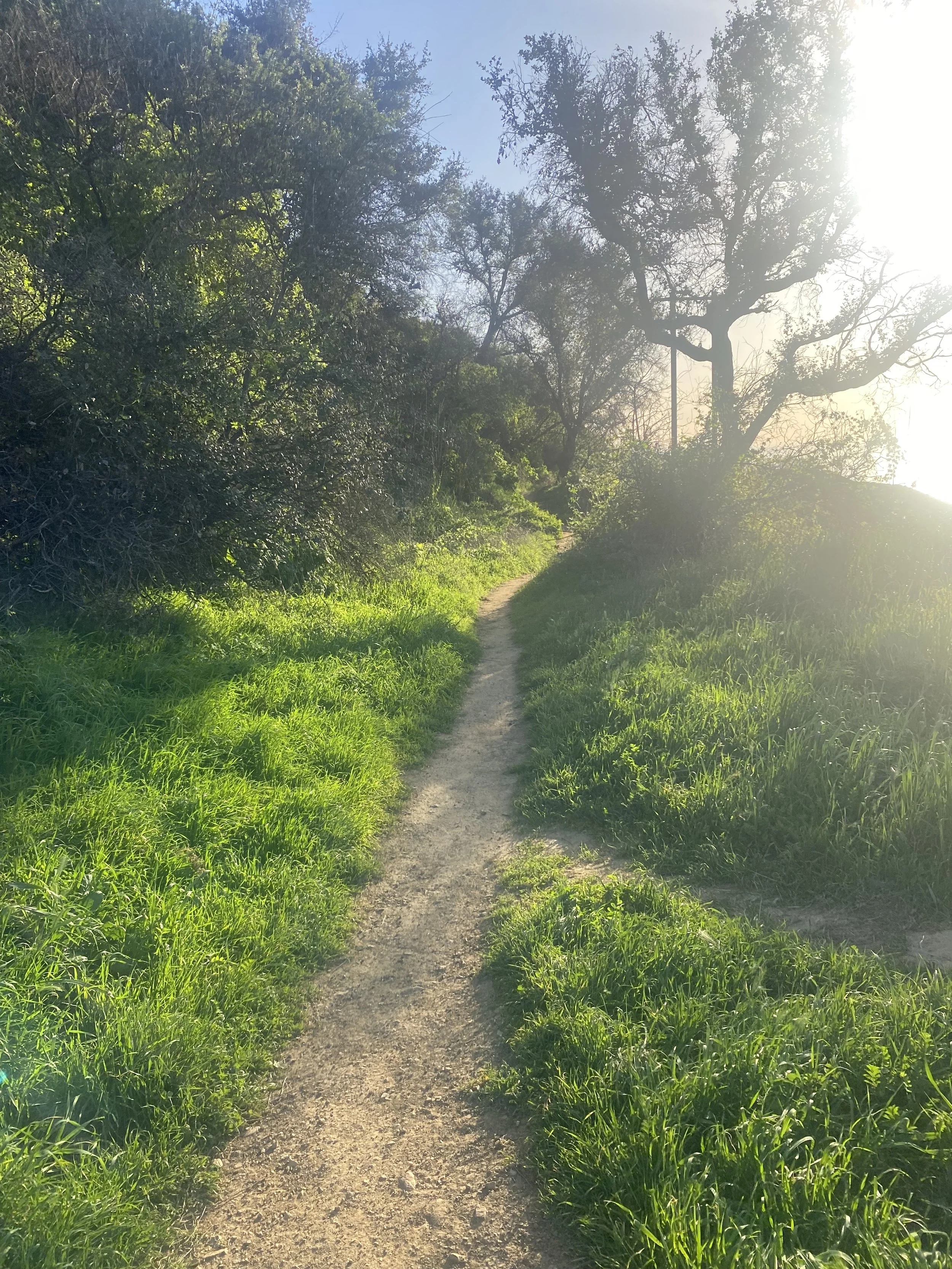 Drop in Meditation &amp; Dharma: Wise Mindfulness: Walking the Path  
