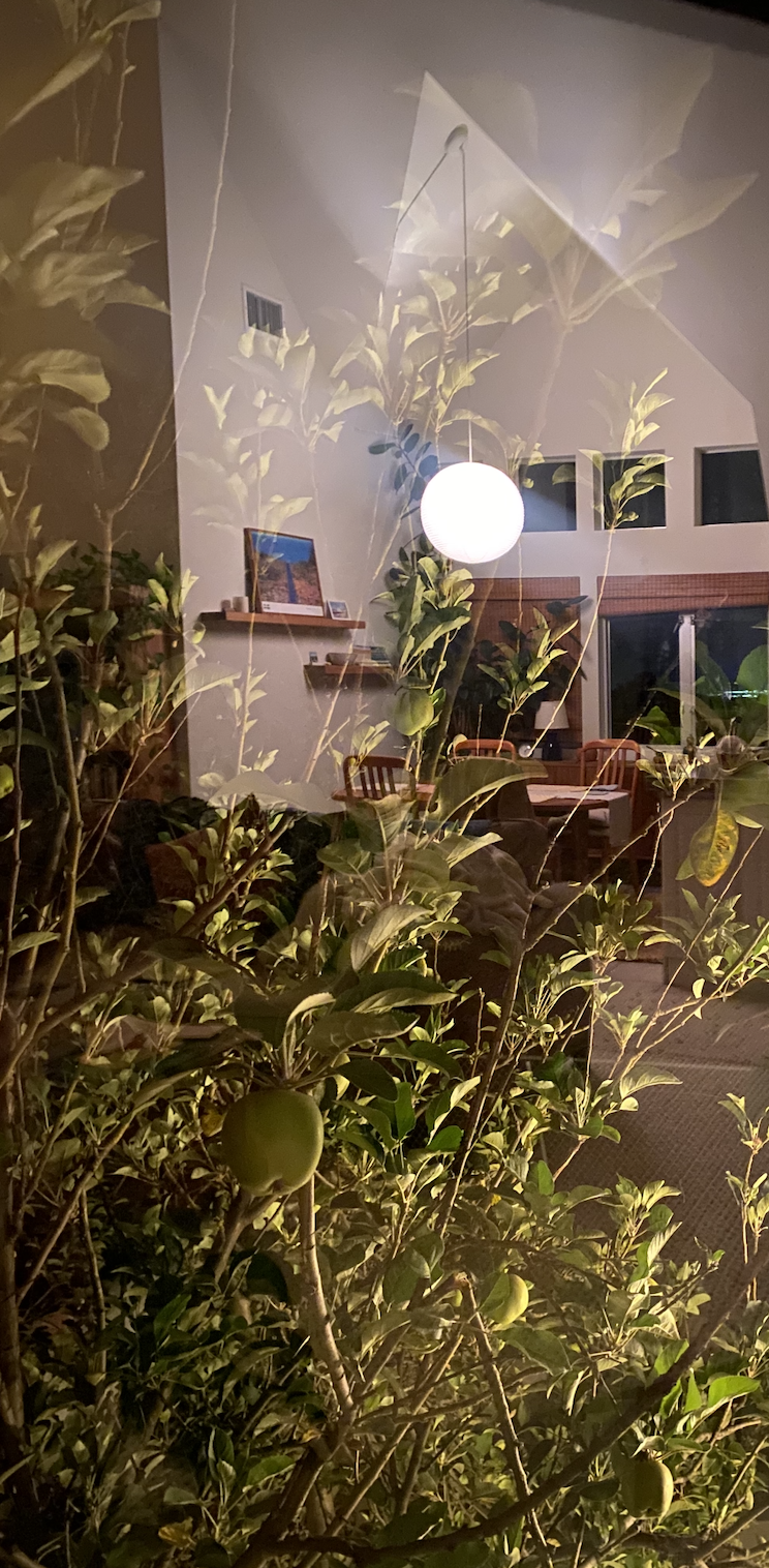 Drop in Meditation & Dharma: The Four Establishments of Mindfulness: Dharmas