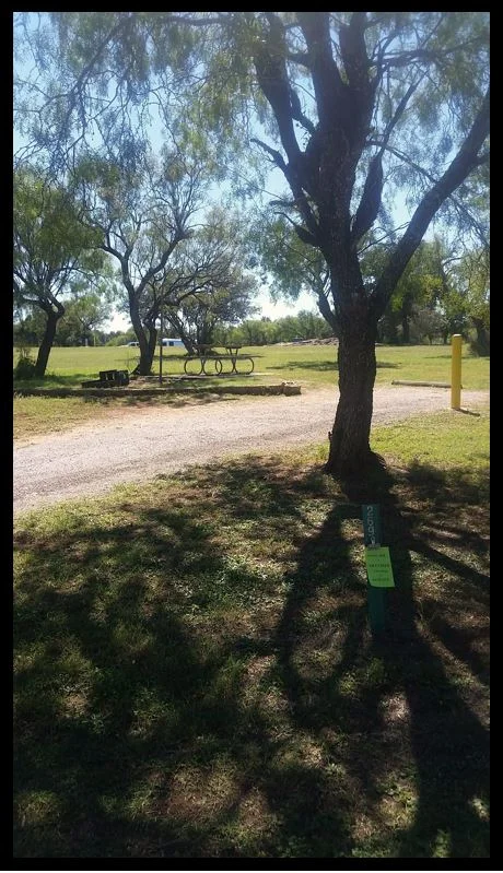 Site #269 boasts limited all around visibility with sparse but tall trees. However, the area is exceptionally level and out of the optional sites, this one is still feesible for observations.