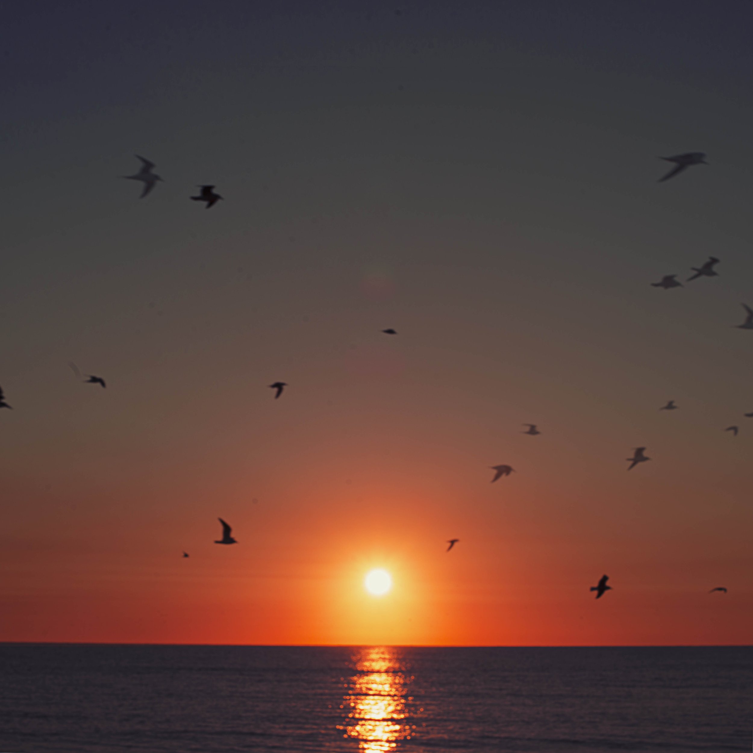 Untitled-2.png