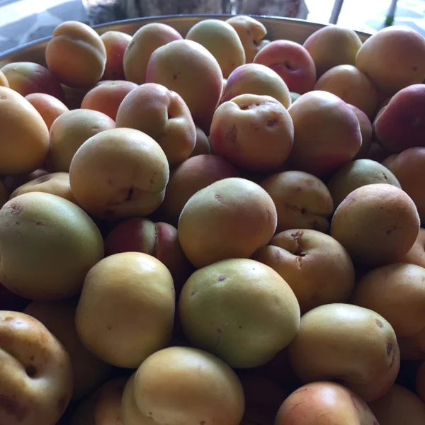 Apricots anyone?