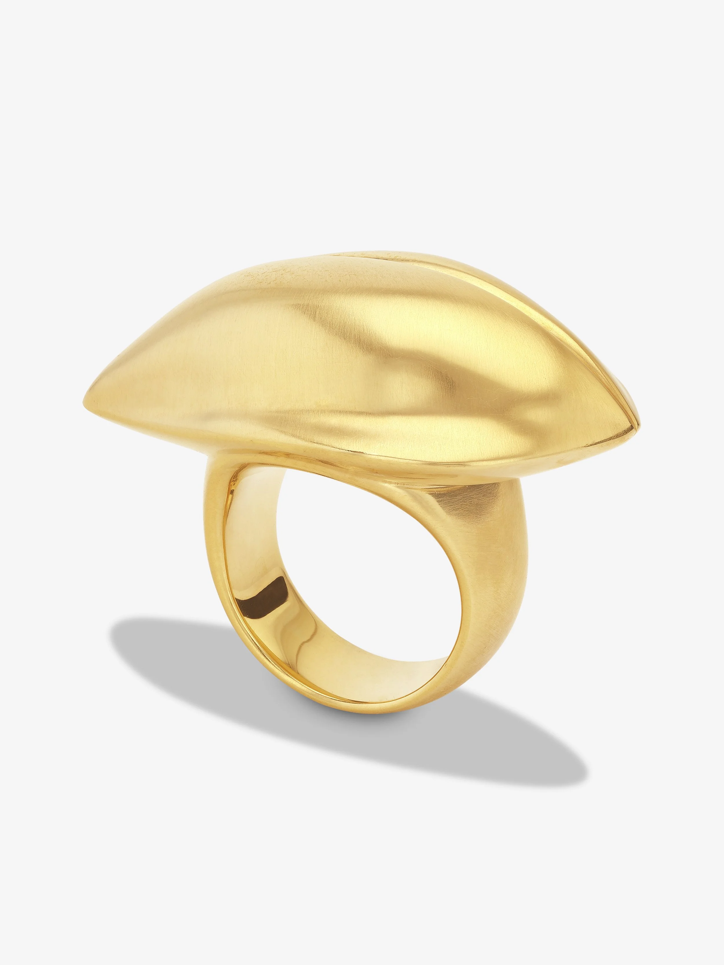 MVCR0121 WEB (1).jpg