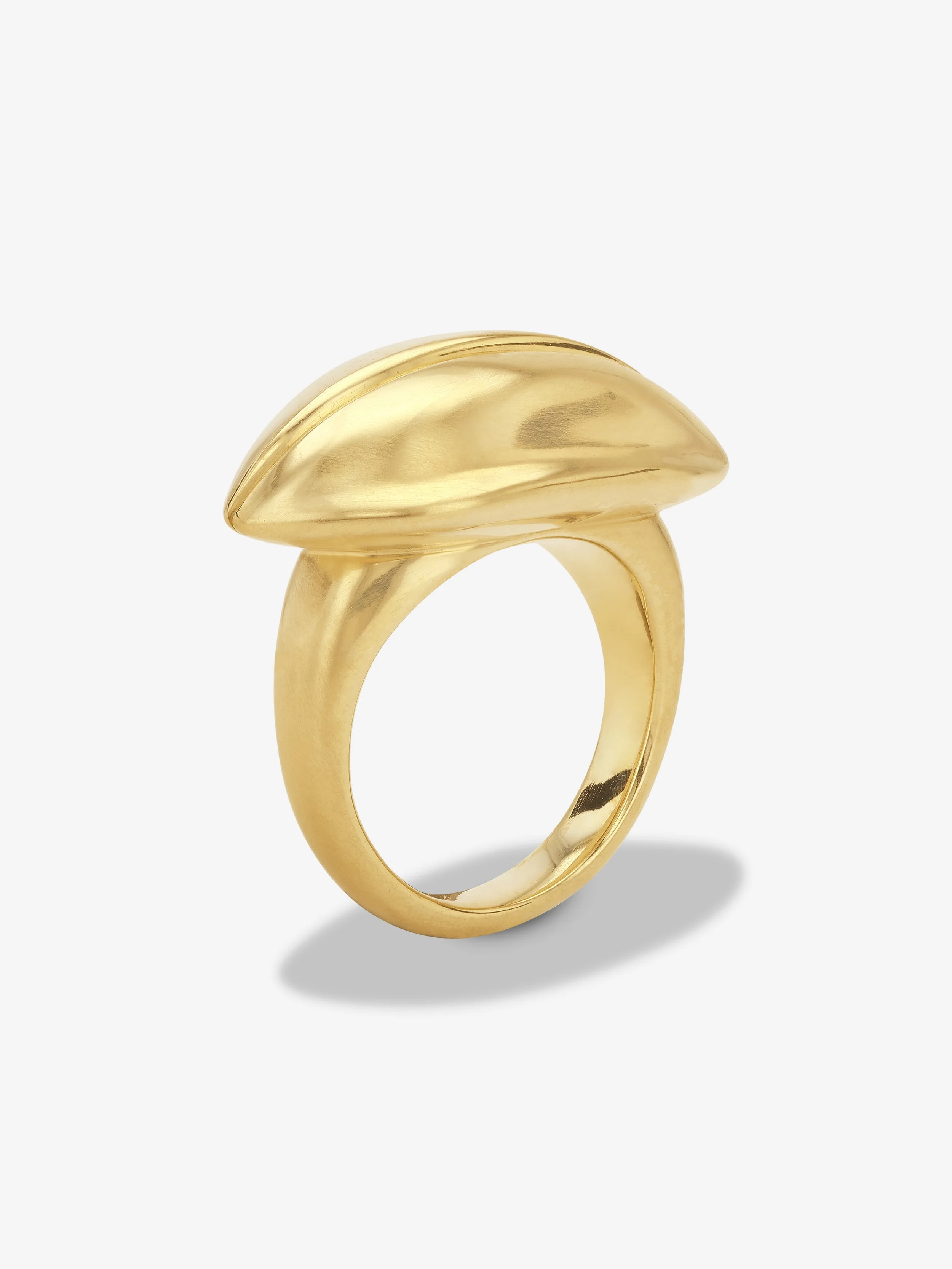 MVCR0216 WEB (2).jpg