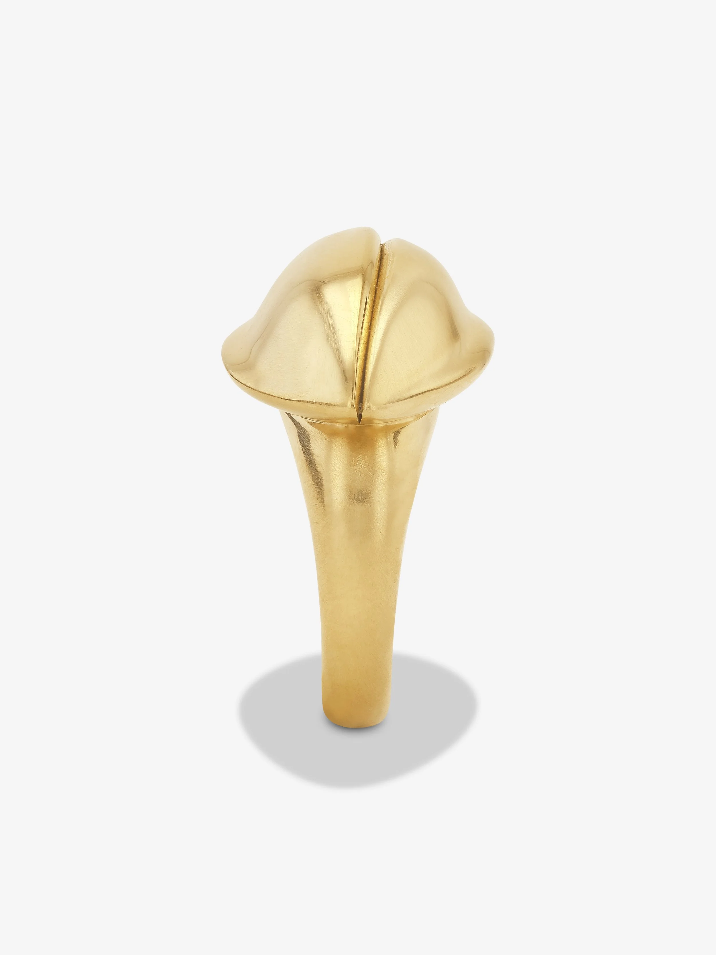 MVCR0216 WEB (3).jpg