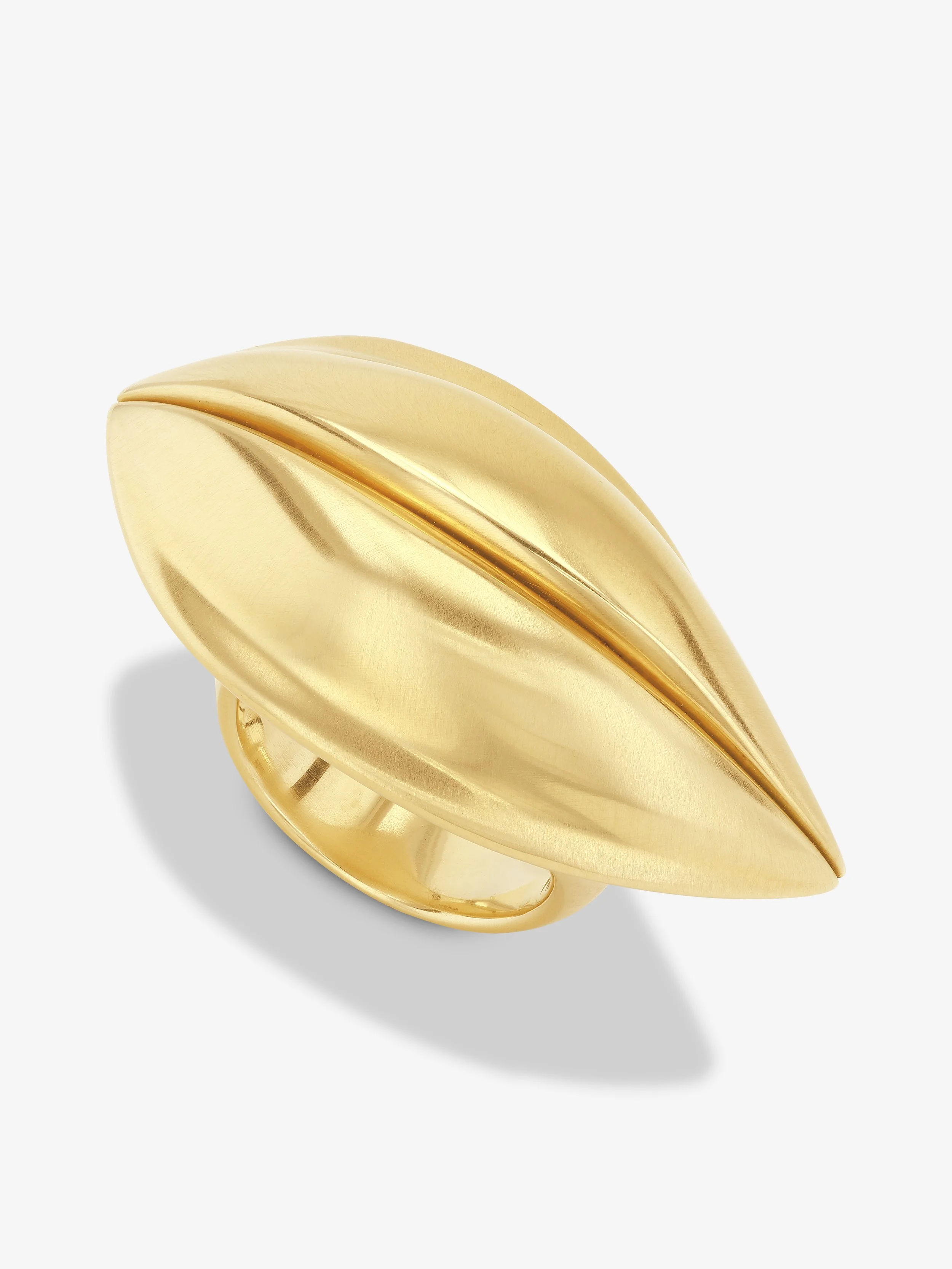 MVCR0121 WEB (5).jpg