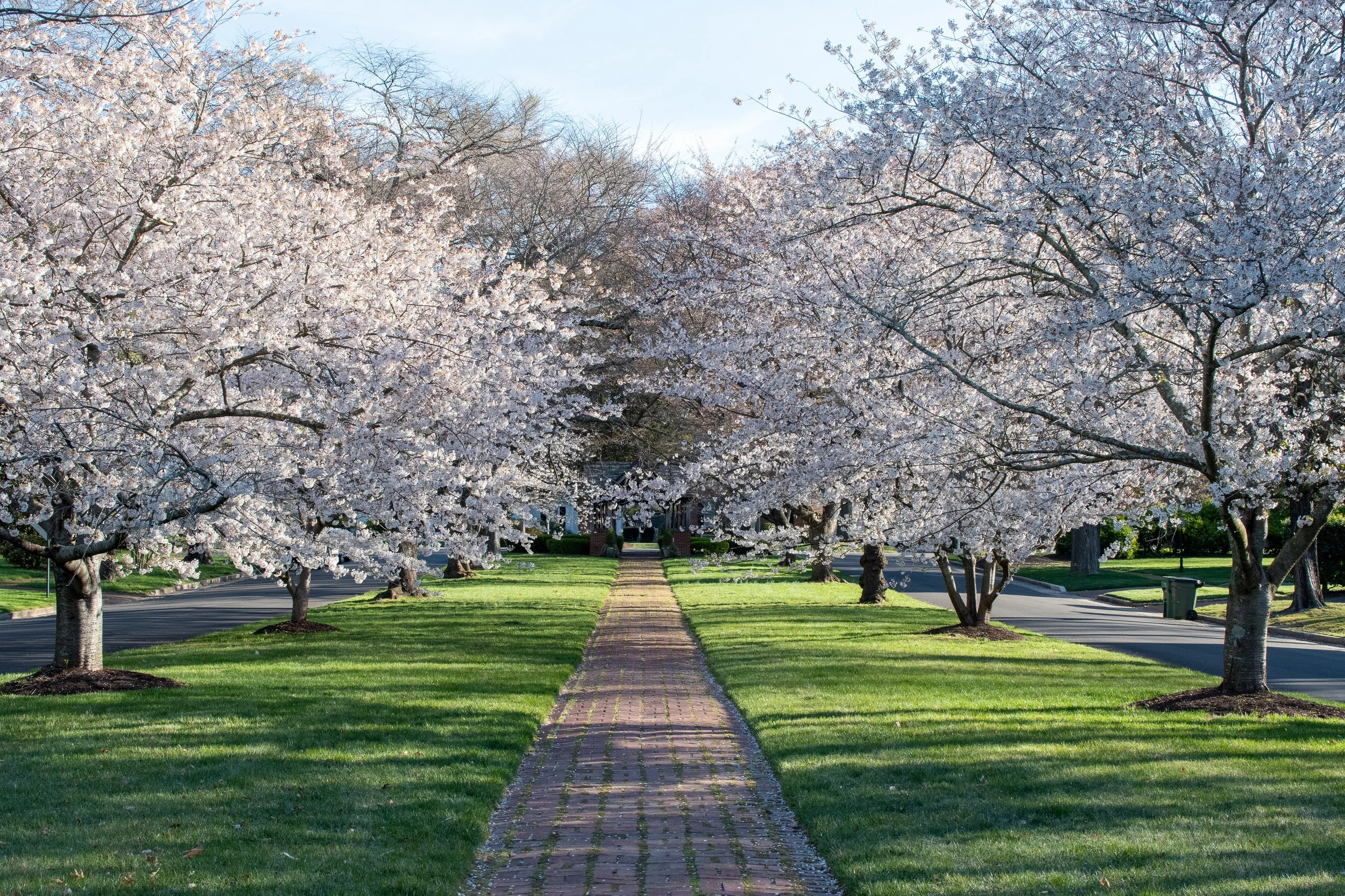 Freelance writer richmond virginia.jpg
