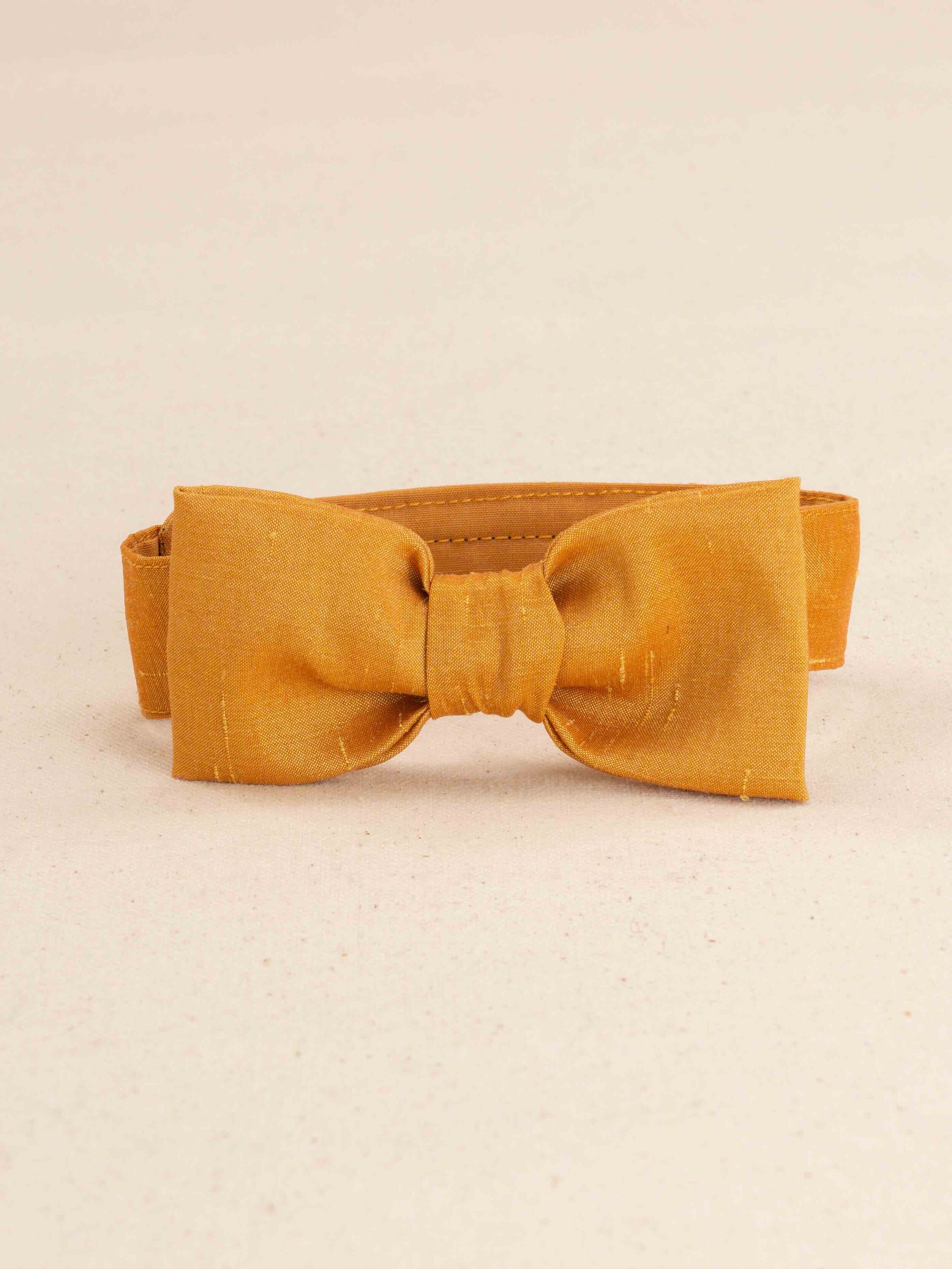 Cat Bow Ties - Gold.jpeg