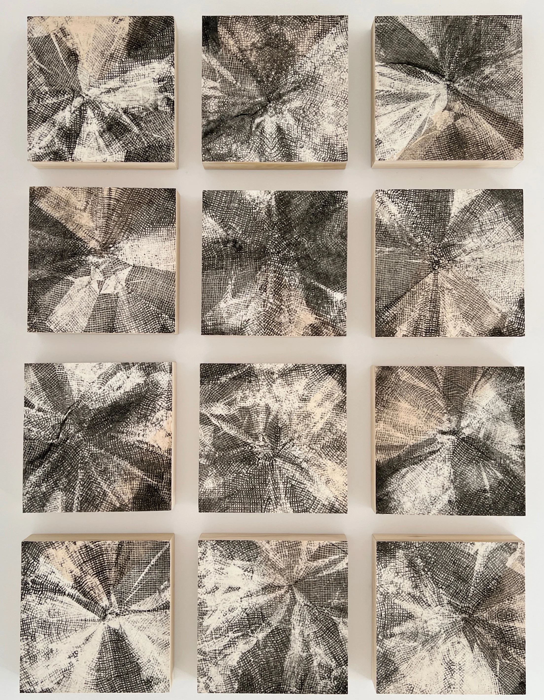 Multiple Impressions - 12 panel installation