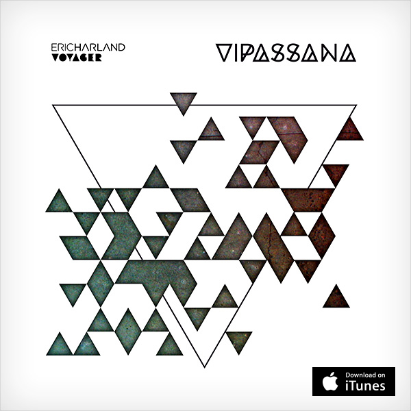 Voyager_Vipassana_600x600.jpg