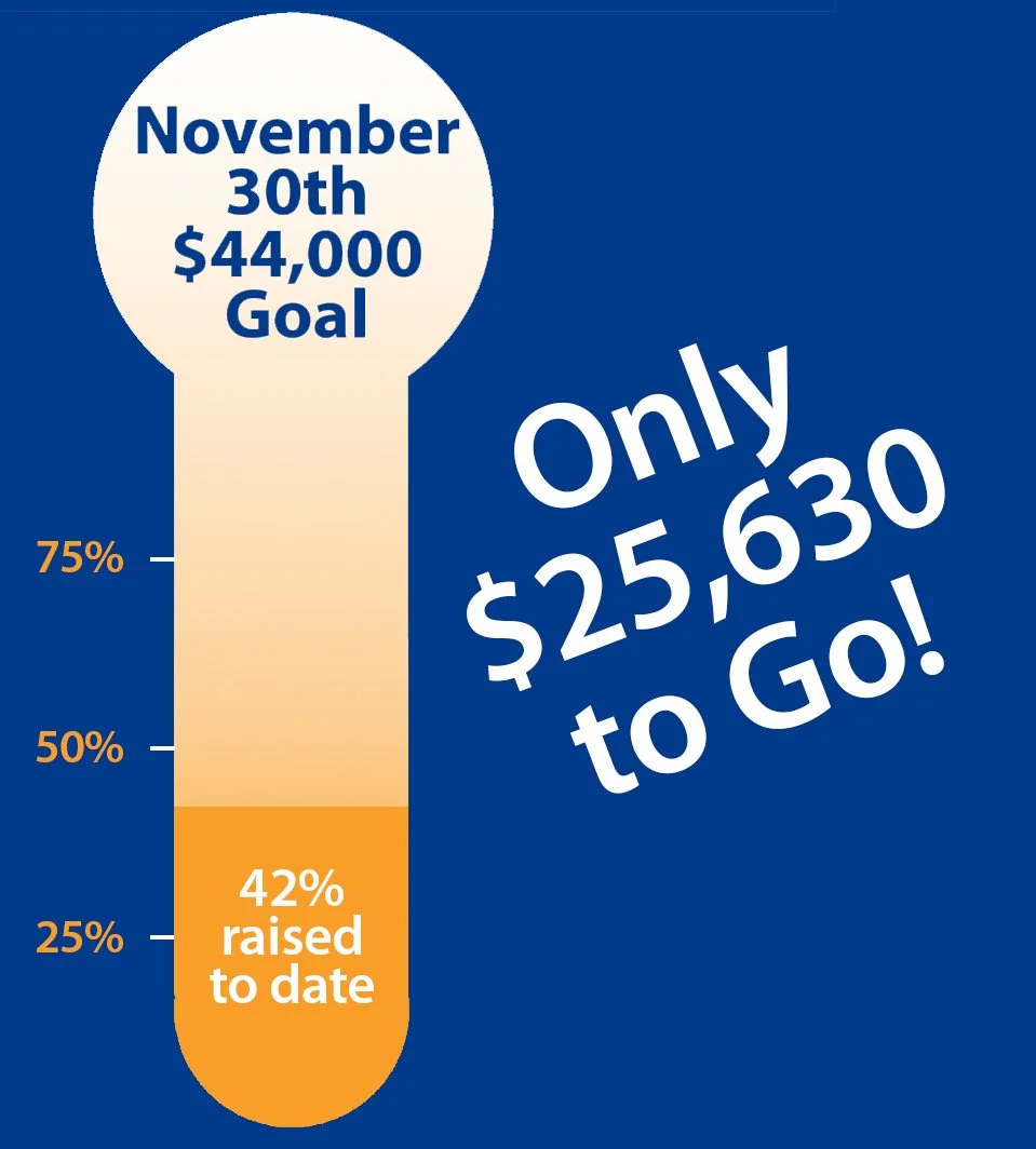 $44,000 Goal Thermostat