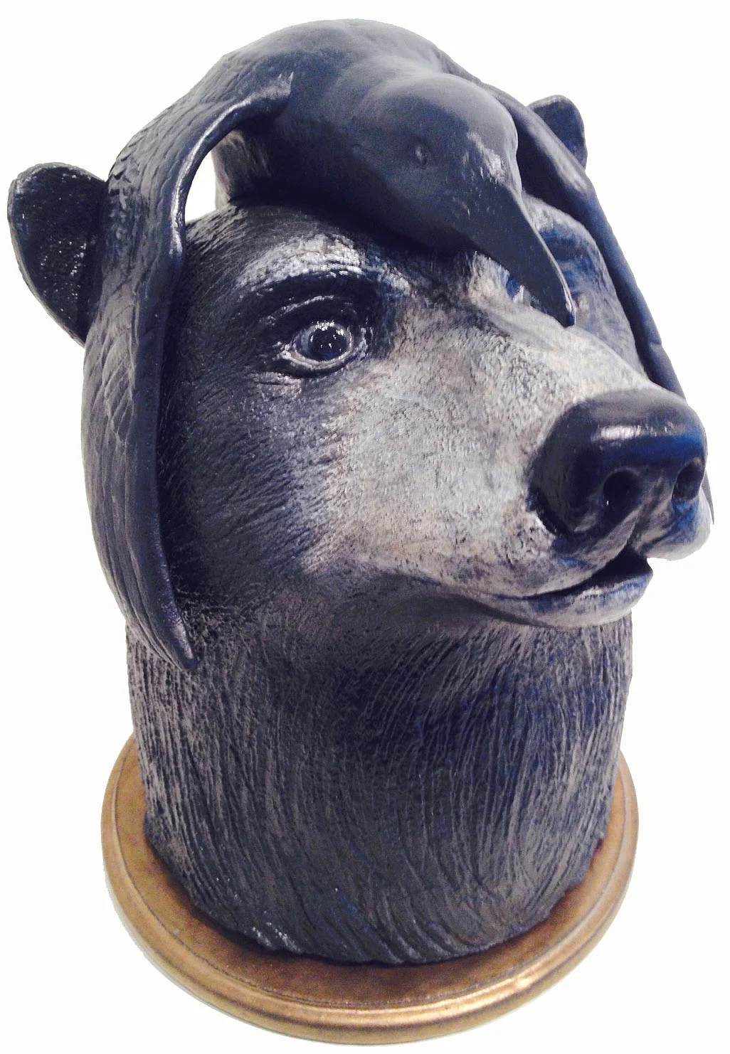 Blind Black Bear Michael Logozzo