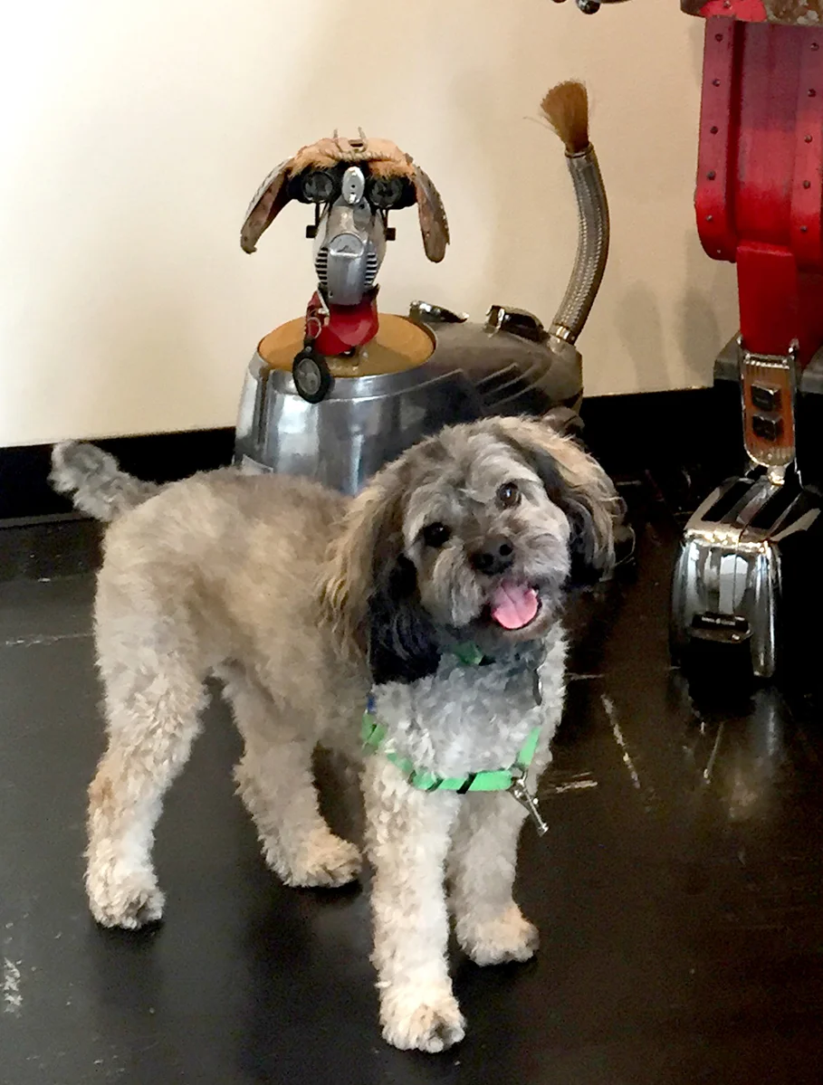 Wiggles and Robot Dog.jpg