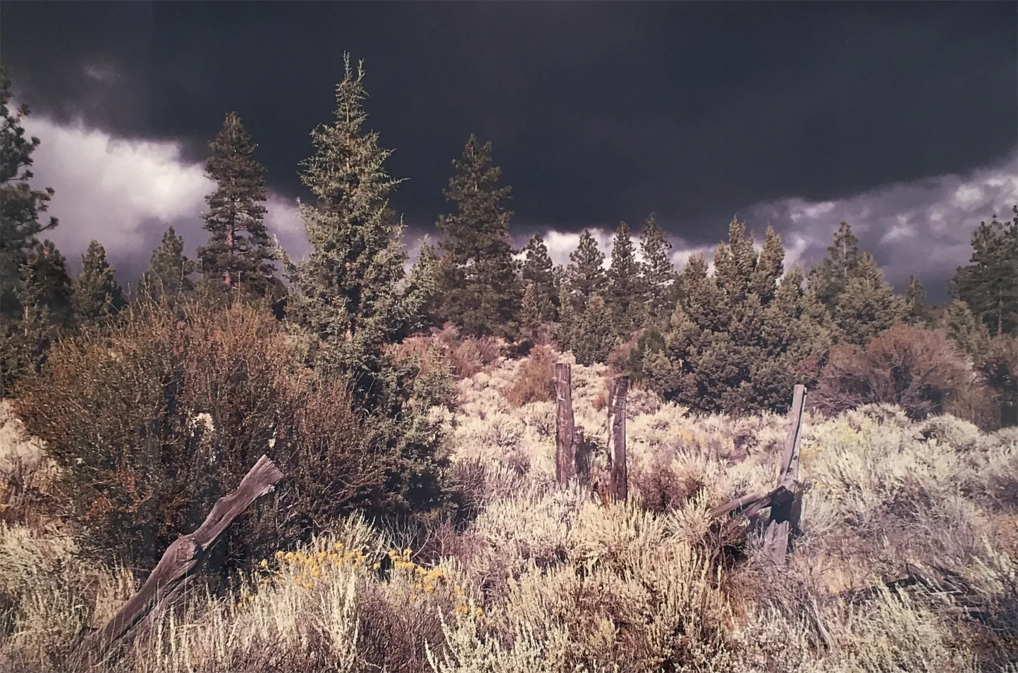 Clouds and Clearcuts Ray Redd.jpg
