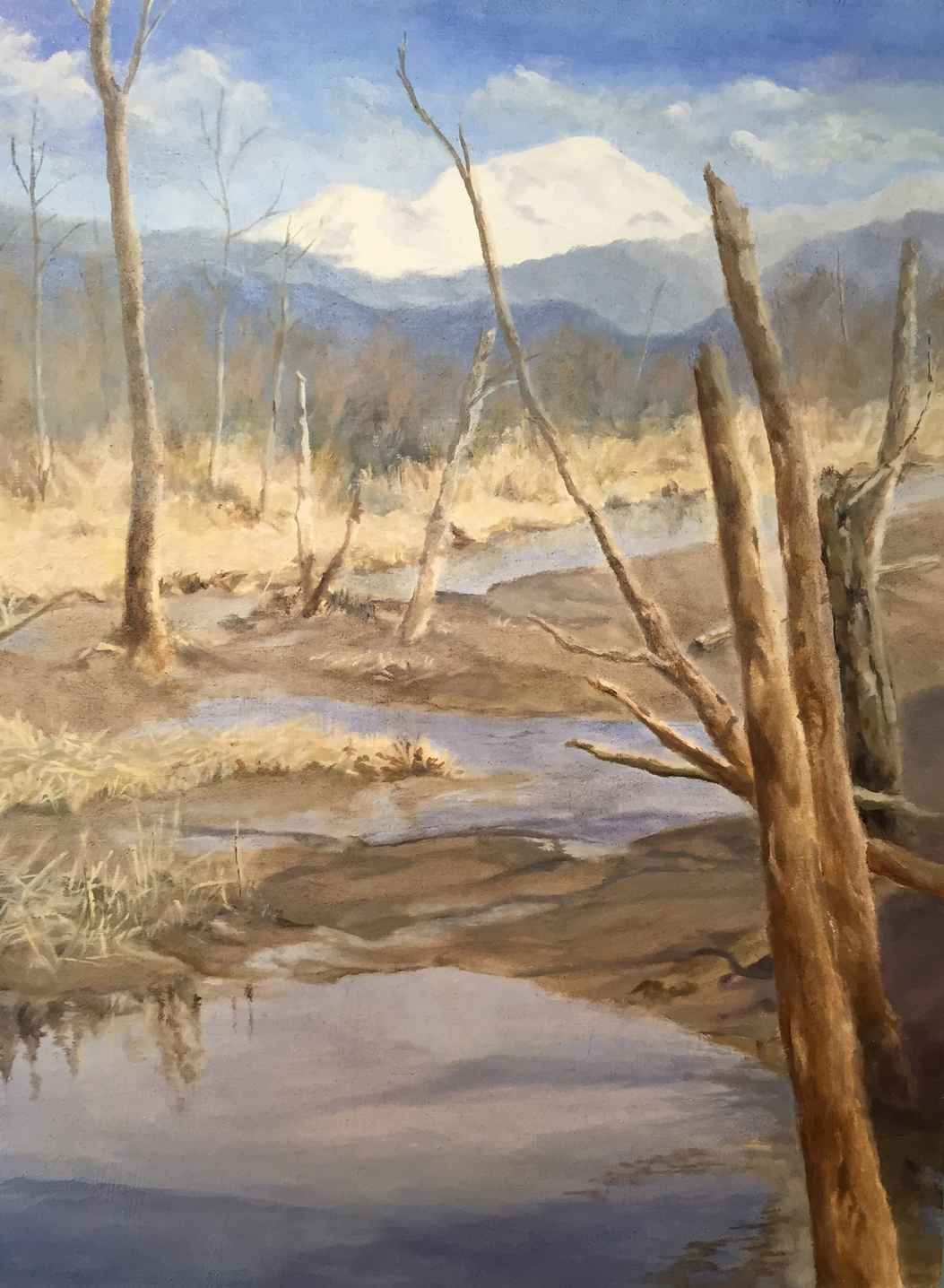 Beauty in Devastation at Wiley slough Mary Lou Dickerson.jpg