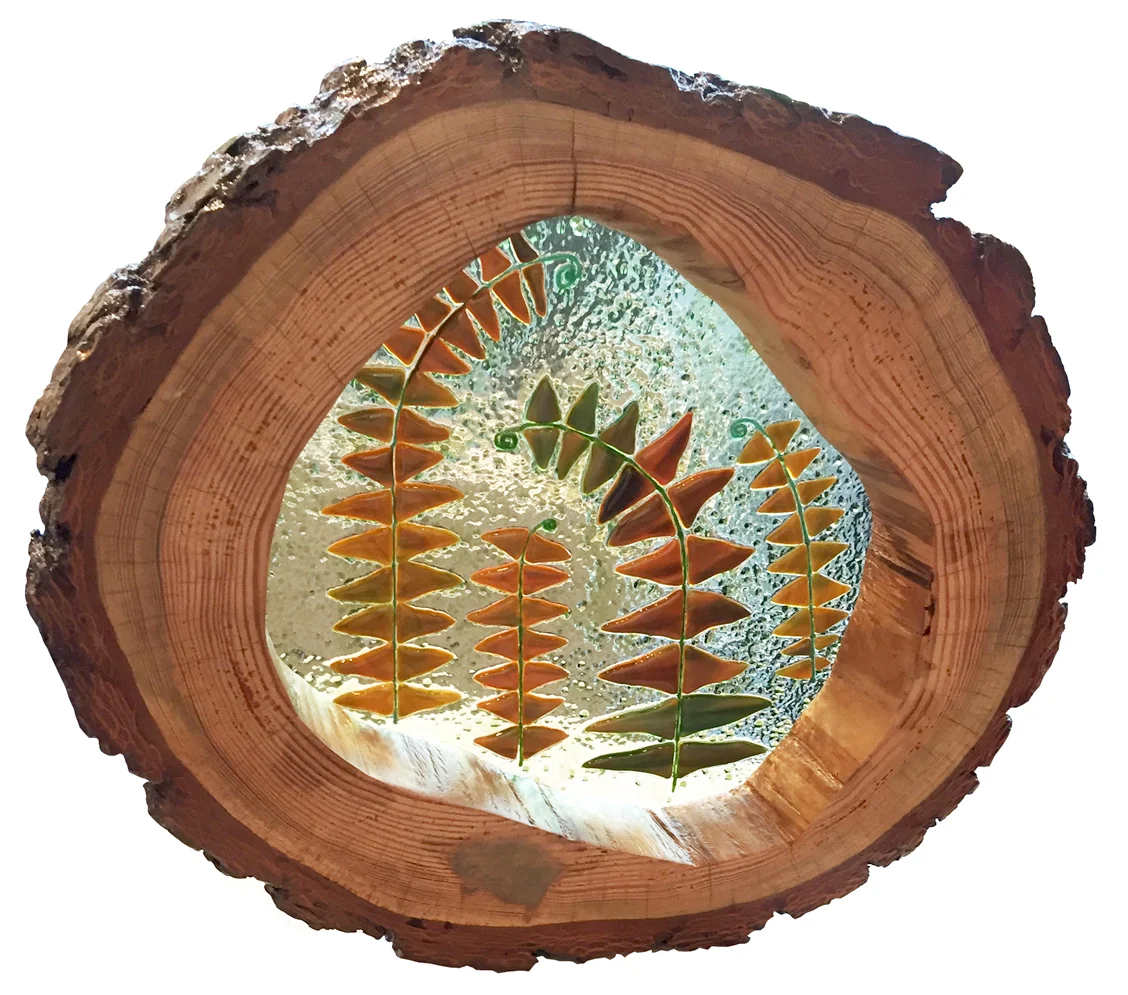 Ferns in the Woods Andrea Ficker