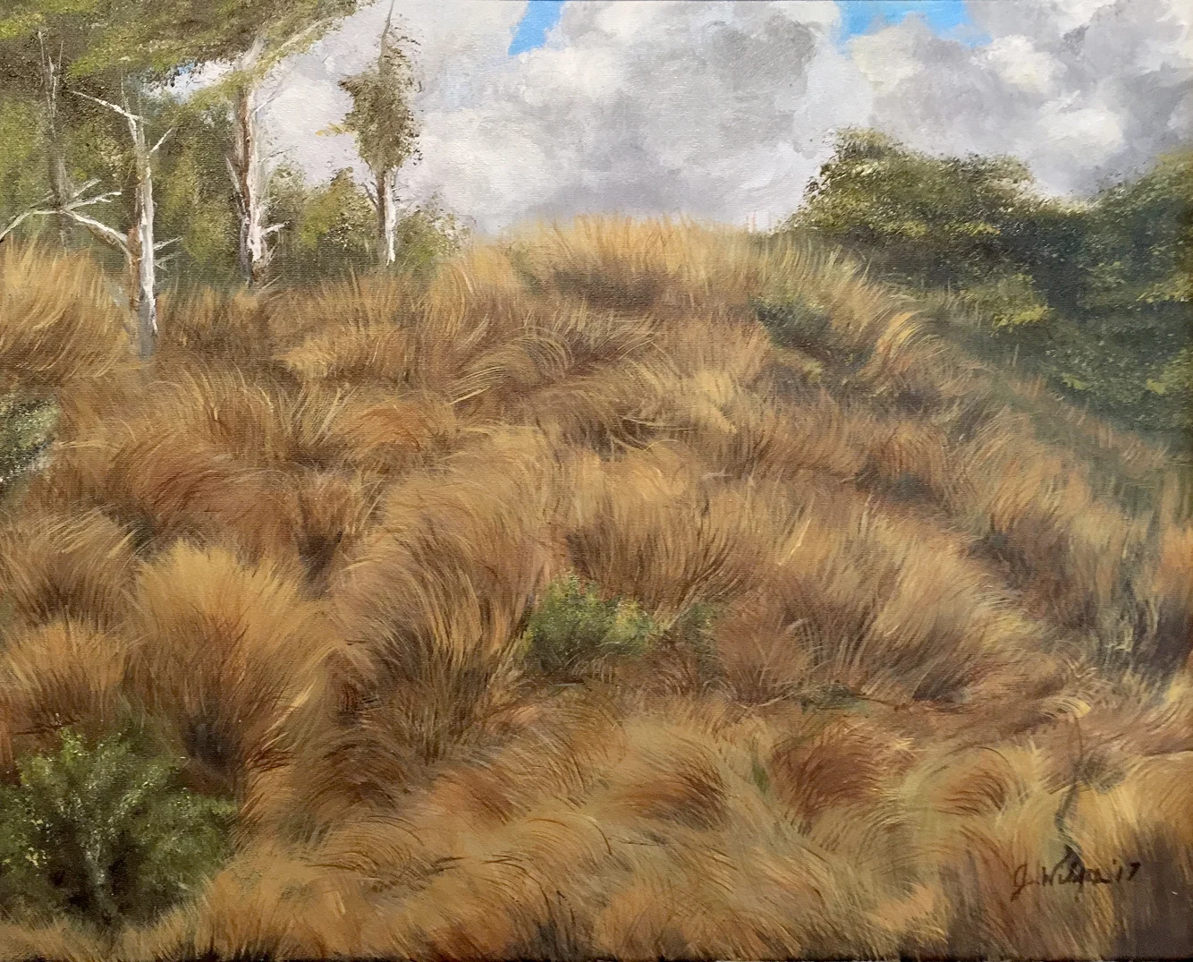 Windy Day at the Coast, Florence OR Janet Wilson