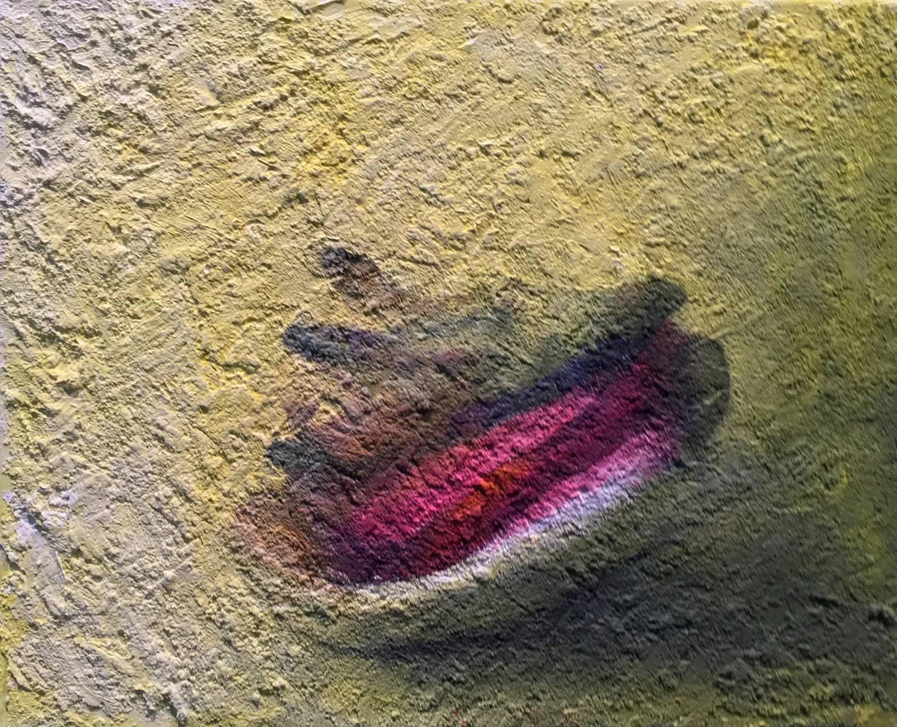 Conch Shell Patrick Howe