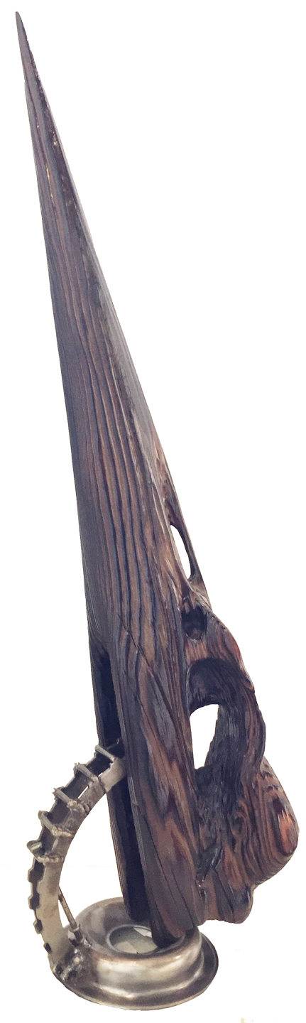 Heronactyl Pieter VanZanden 2,300 Year Old Fir, Jaguar Transmission