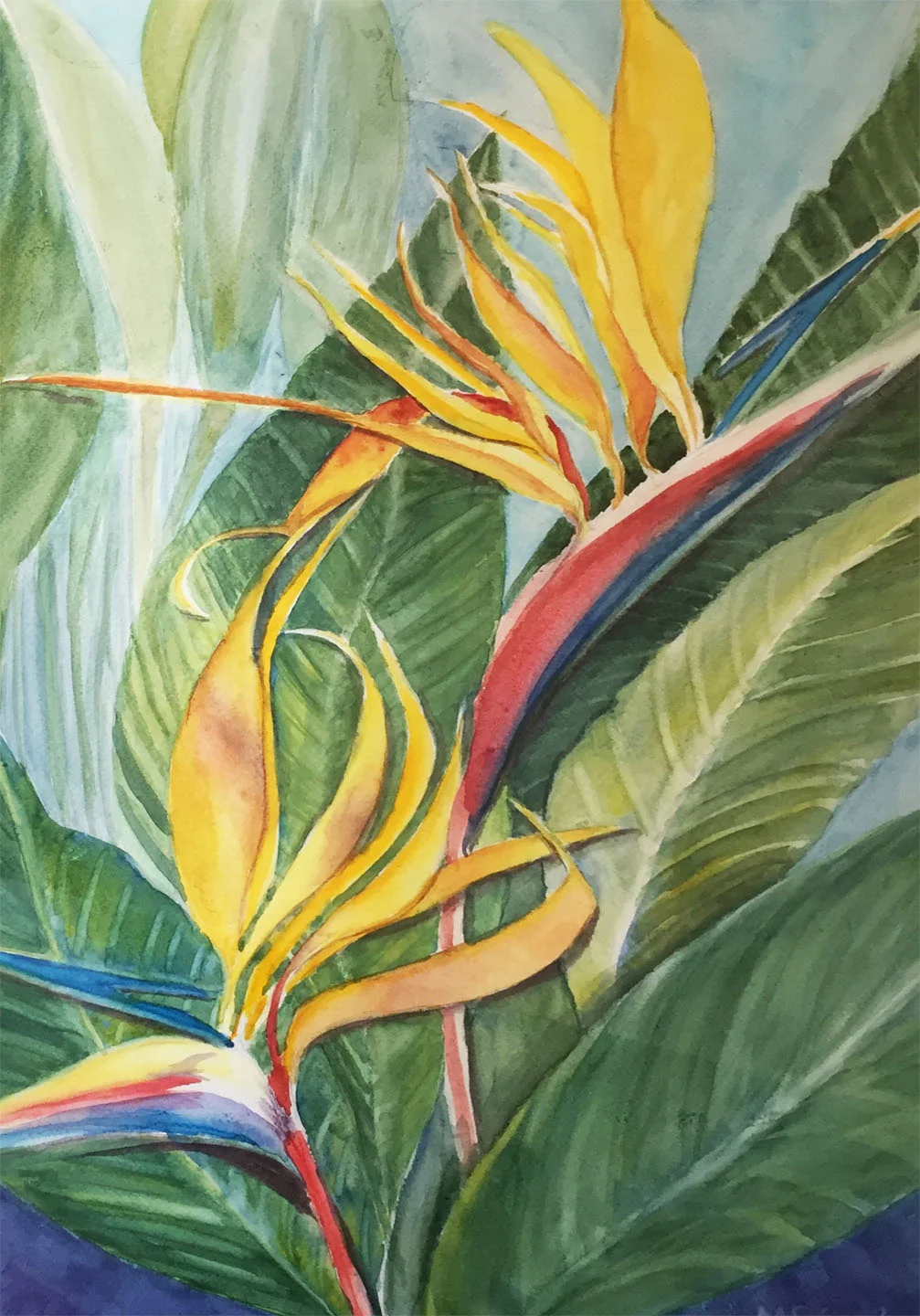 Pretty Birds Marcia Roberts Cecil