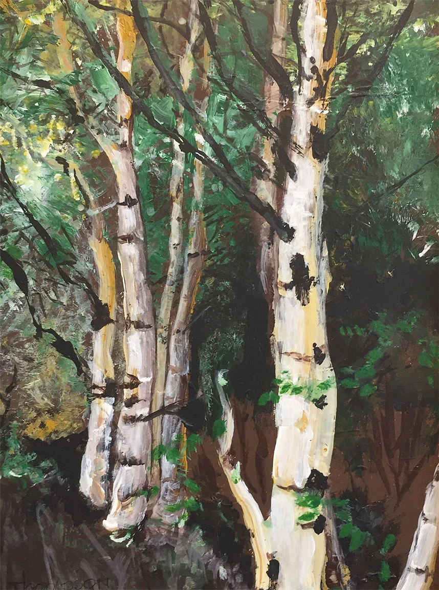 Birches D. Thompson