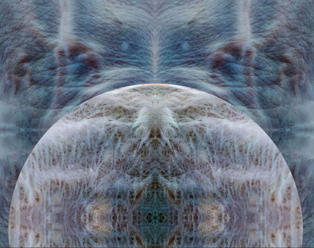 Turtle Moon Bob Hutchinson