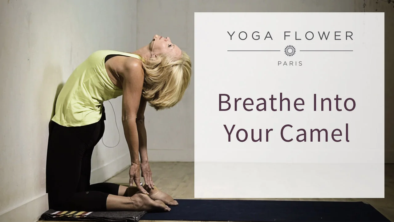The Camel Pose :  Ustrasana