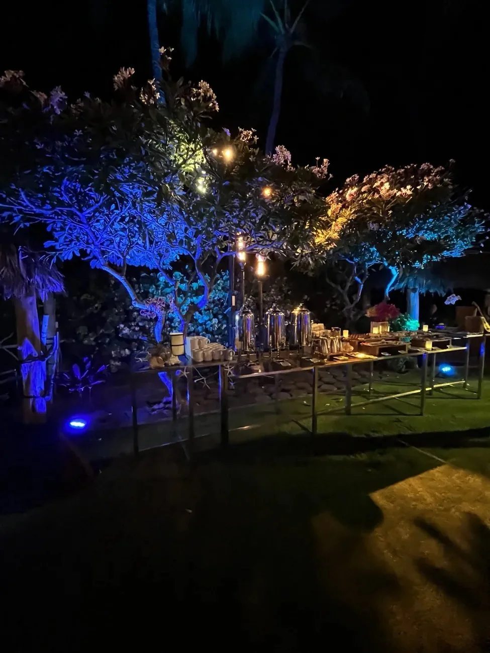 05-landscape-accent-lighting.jpg
