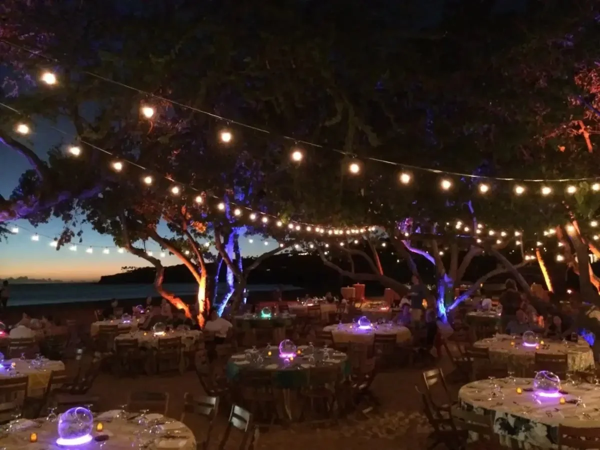 15-bistro-lights-sunset.jpg