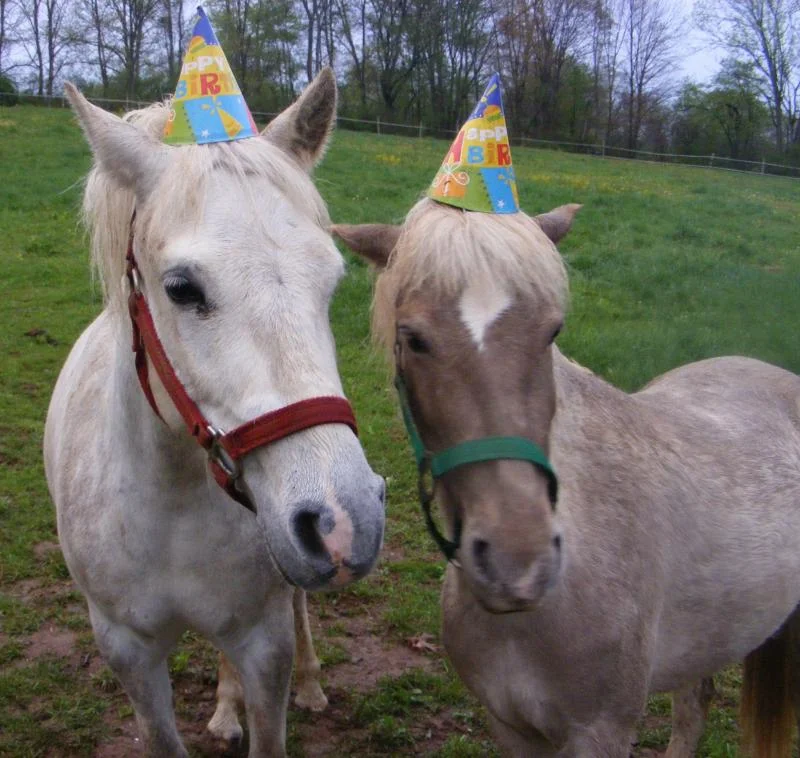 ponyride.jpg