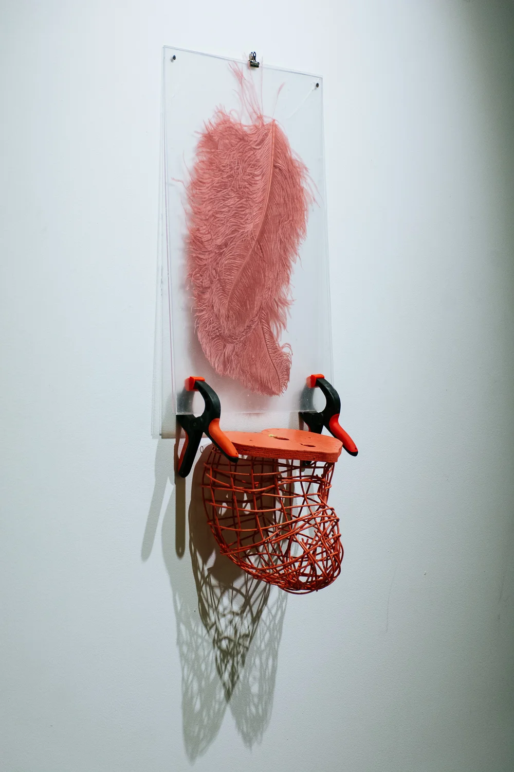 Brian Smith_Jock and Body Hair 09.jpg