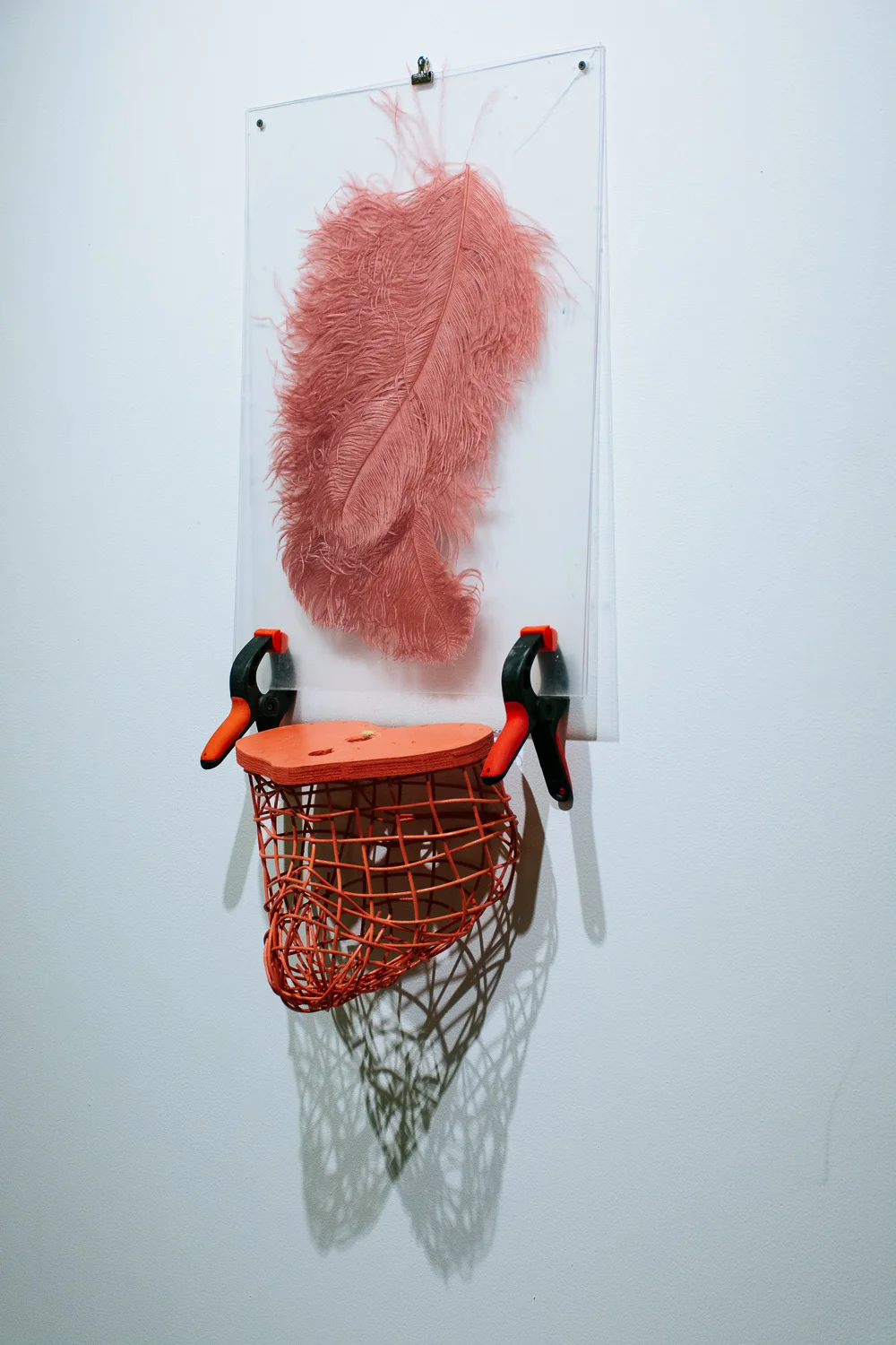 Brian Smith_Jock and Body Hair 06.jpg