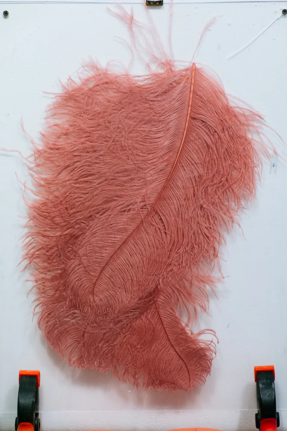 Brian Smith_Jock and Body Hair 05.jpg