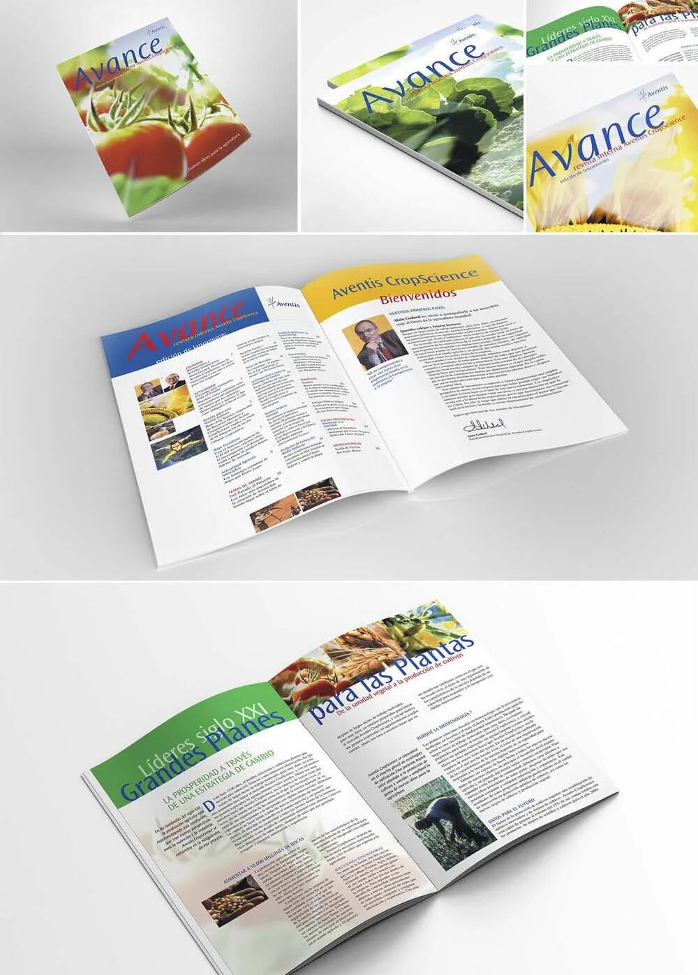 magazine-1.jpg