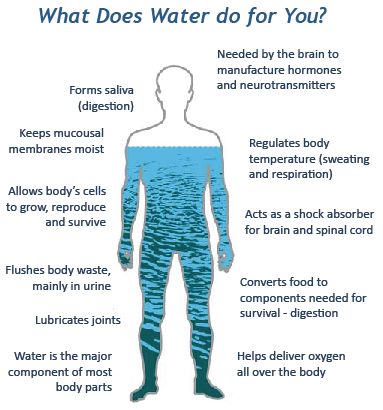 water-infographic.png
